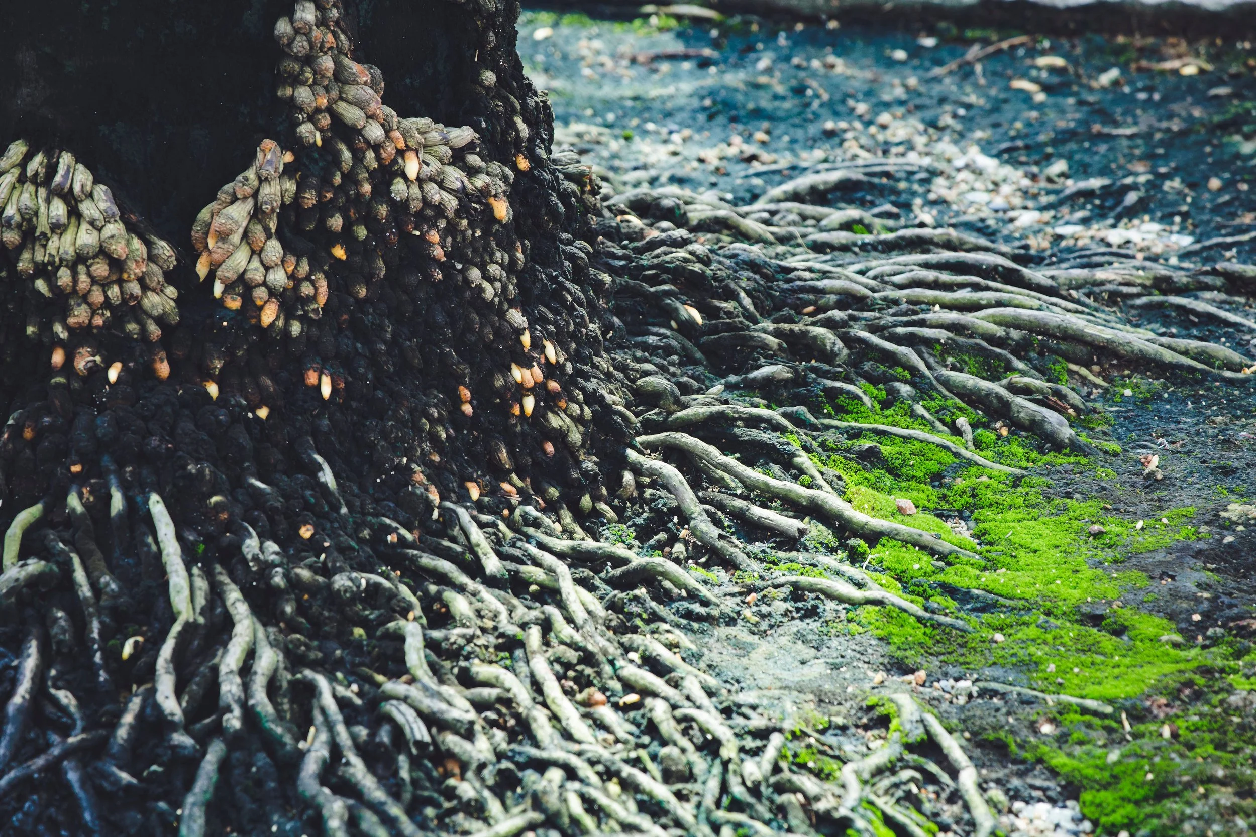 What Lies Beneath the Grief?