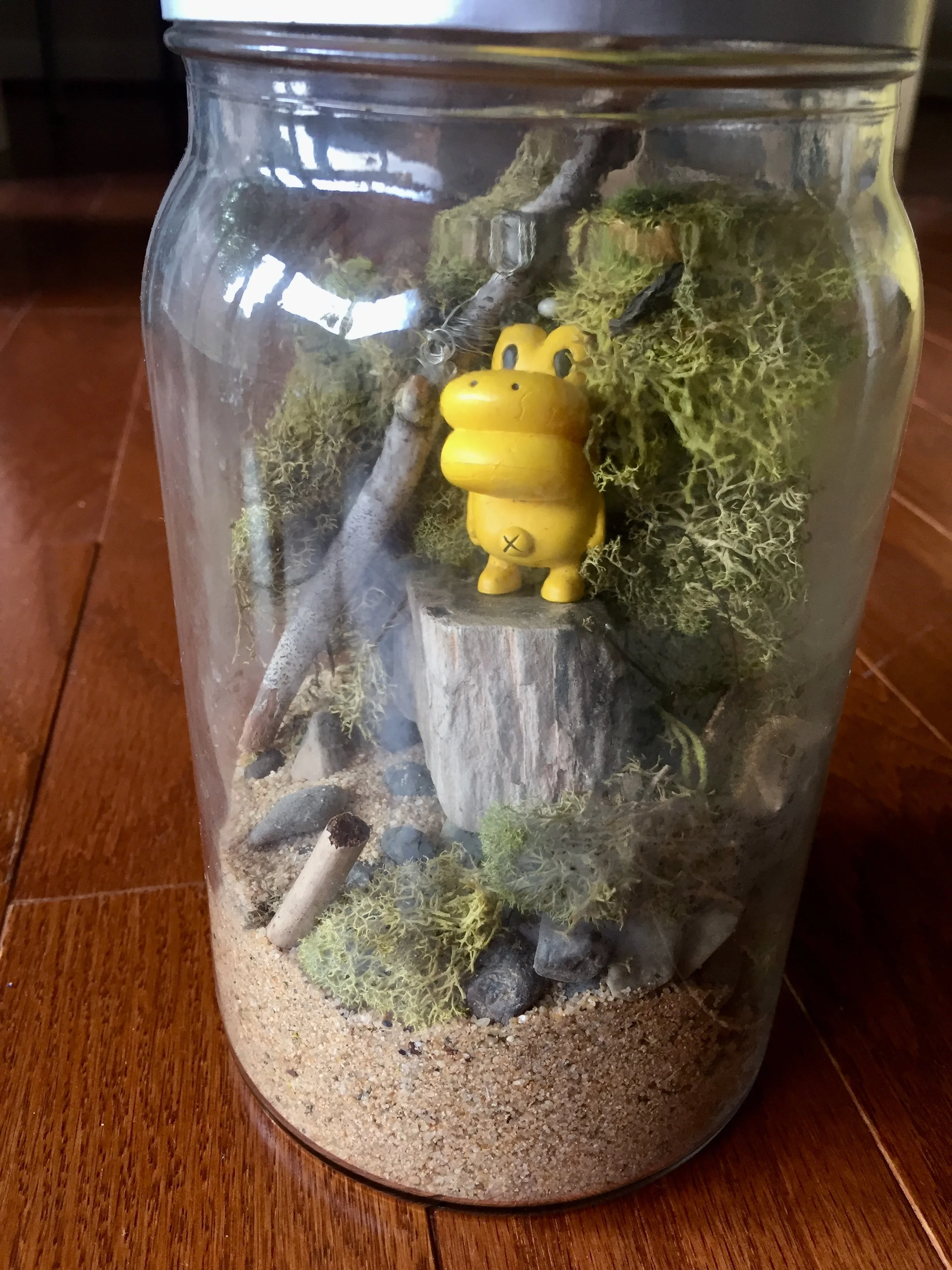 "Terrariums", mixed media incorporating mosses, lichen, sand, stone, wood, and a found plastic toy. This series explores themes of environment, change, growth, and containment through layered natural and found materials.