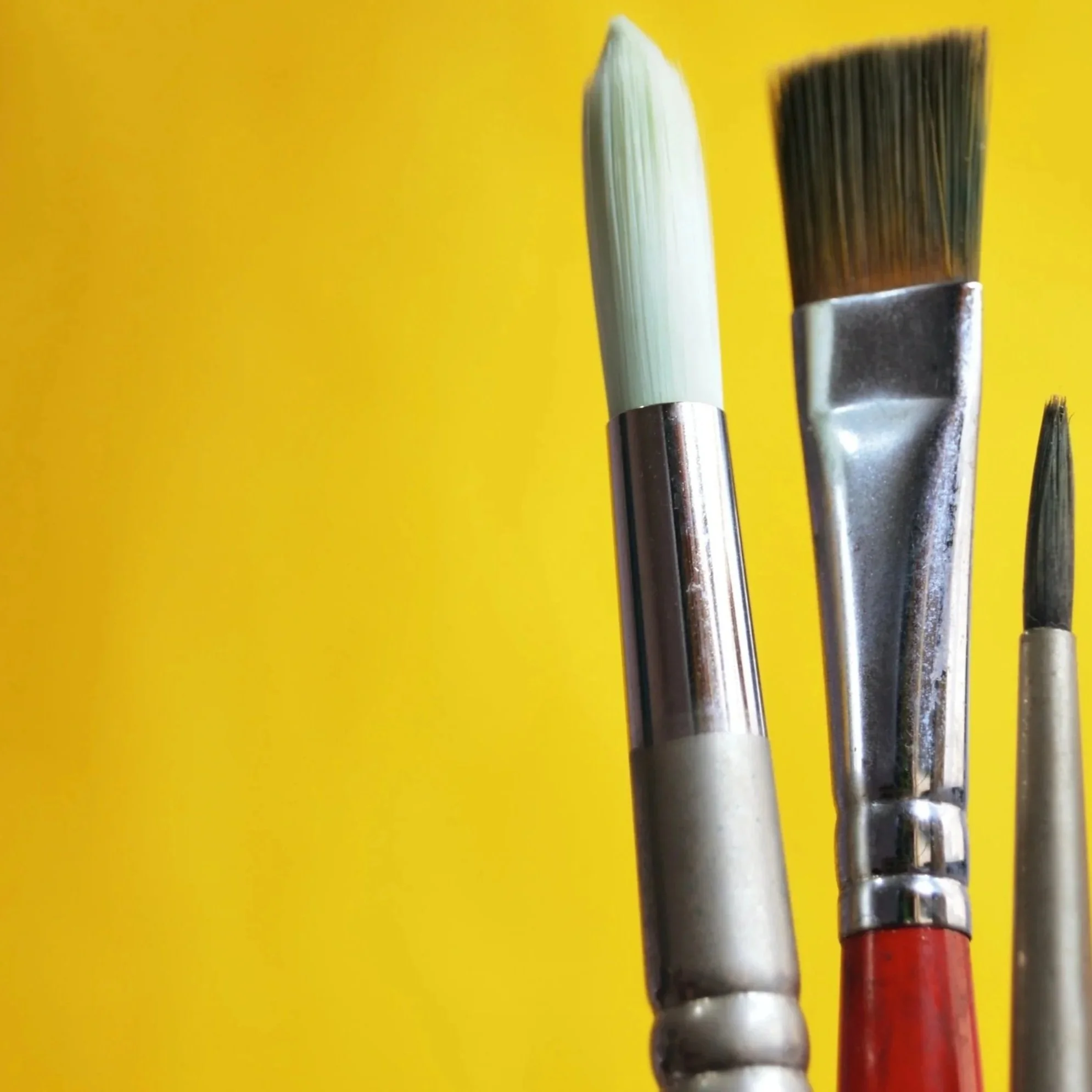 Close-up of two paintbrushes with metal ferrules and bristles, one with cream-colored bristles and the other with dark bristles, against a yellow background.