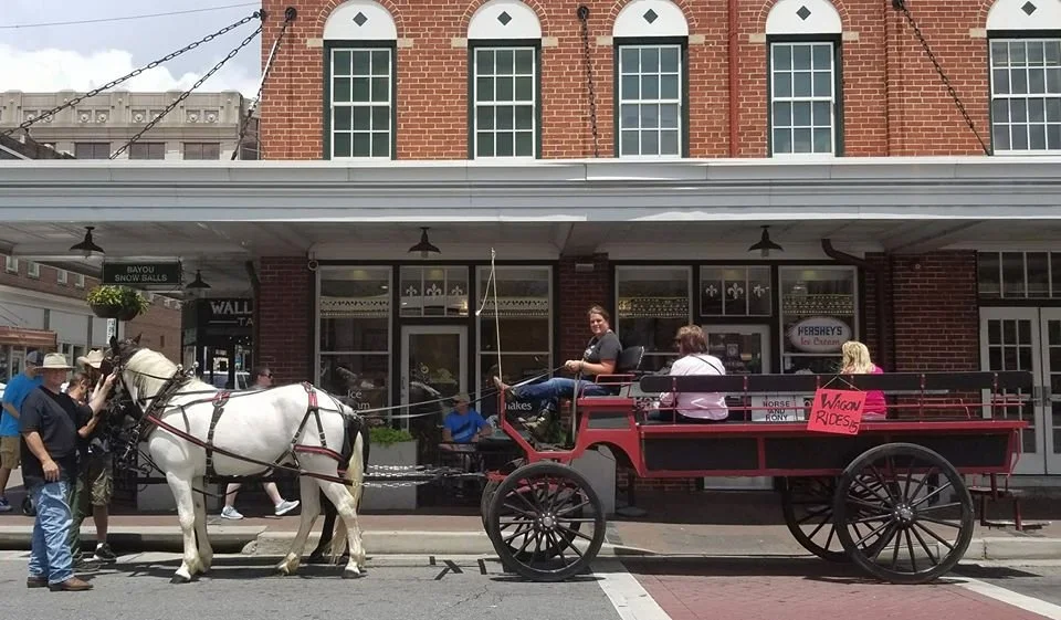 wagonette_downtown.jpg