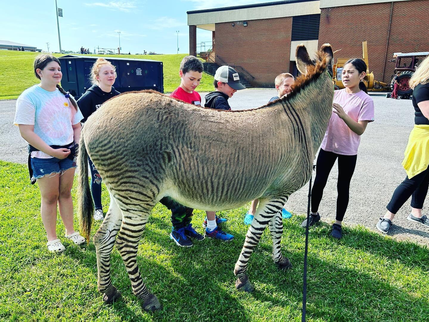 Ziggy and Sid had a fabulous time at the Staunton River Middle School Career Day yesterday! They loved all of the attention and hopefully inspired some interest in agri-tourism! We are so thankful for such calm and wonderful animals. Thank you Jesus!