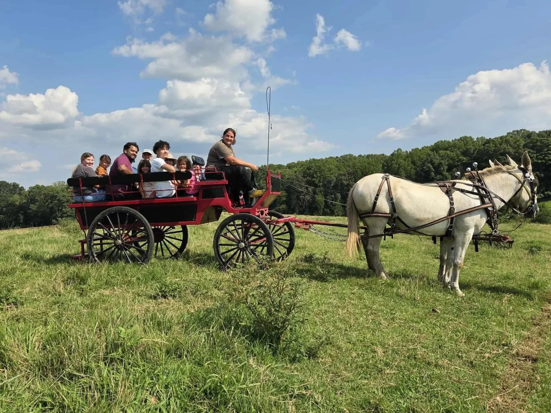 wagon2.jpg