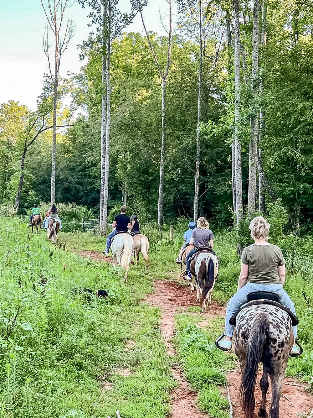 Trail Rides — Spring Valley Farm