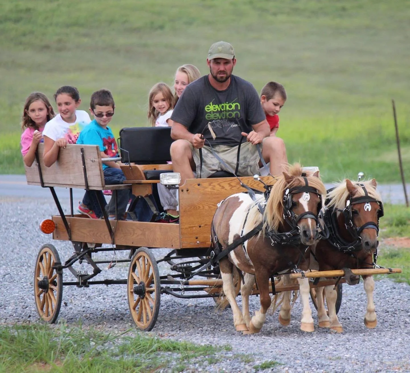 wagon6.jpg