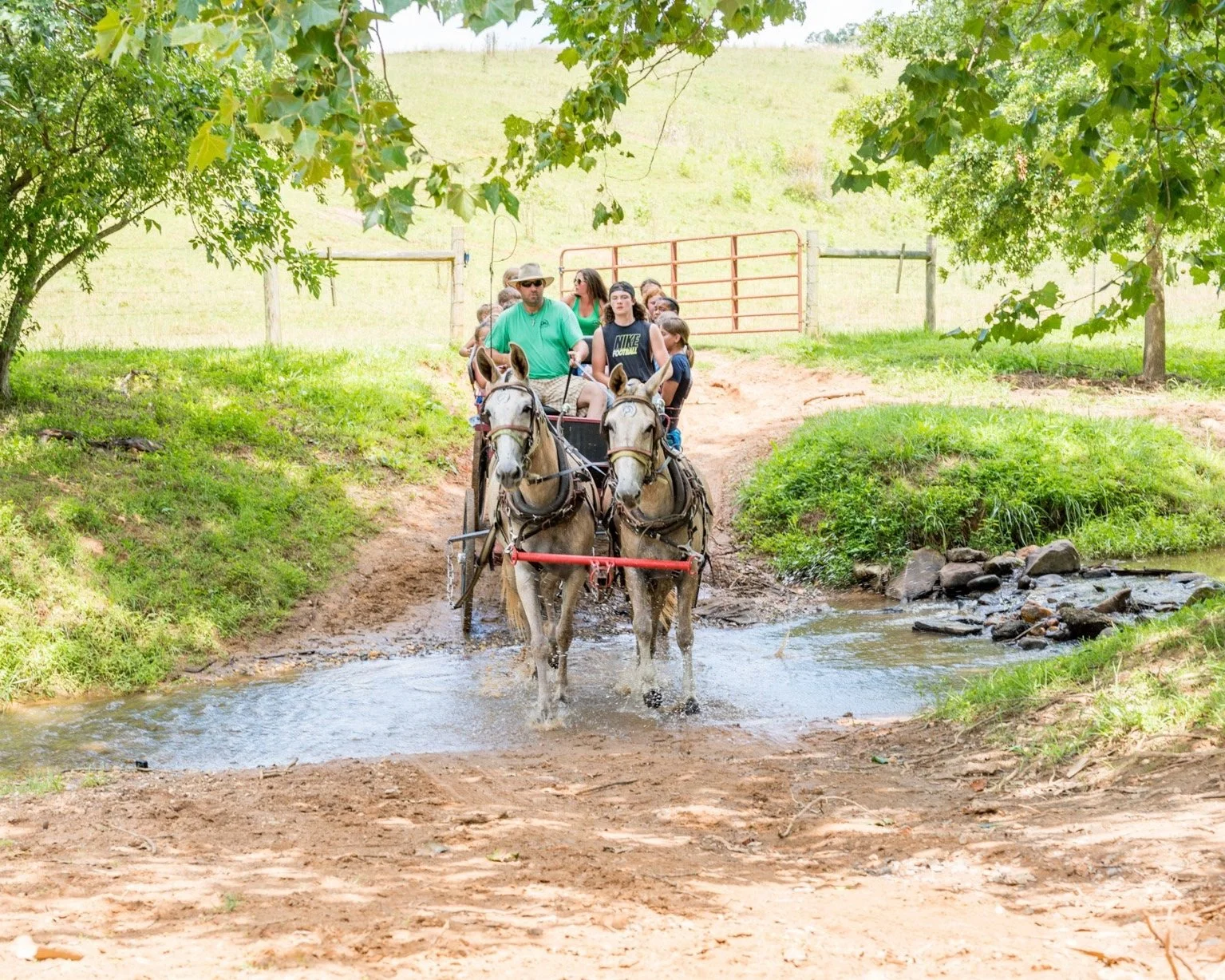 SpringValleyRanch-59.jpg