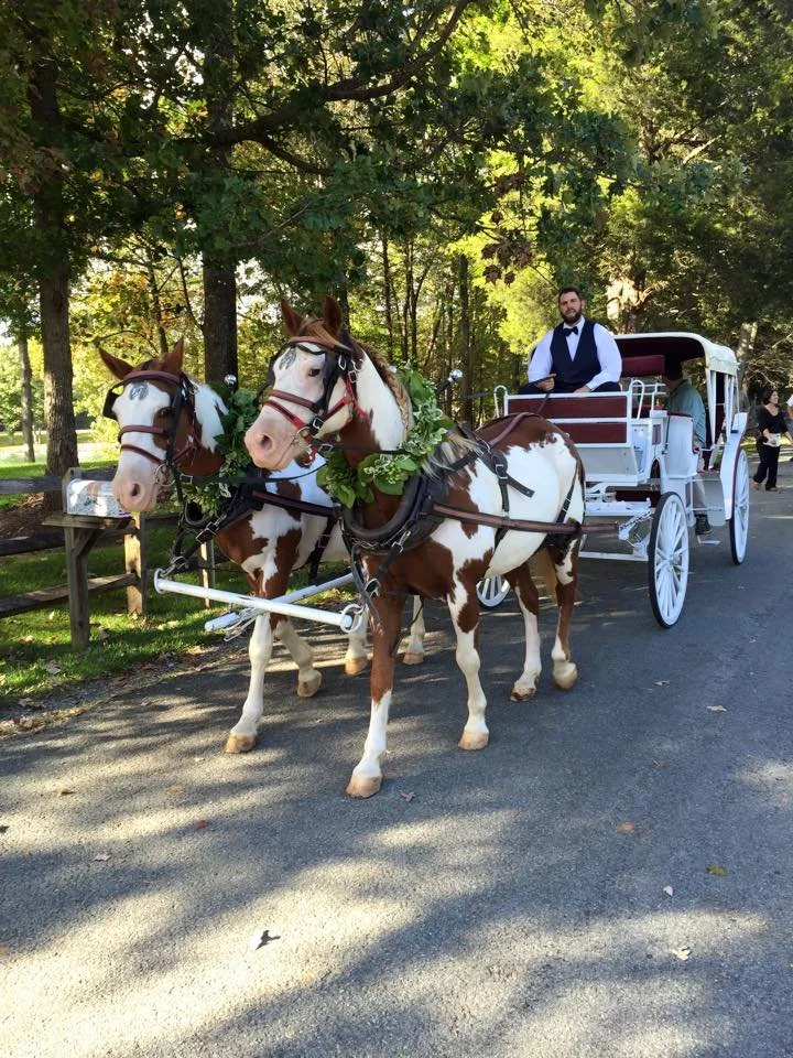 wedding carriage.jpg