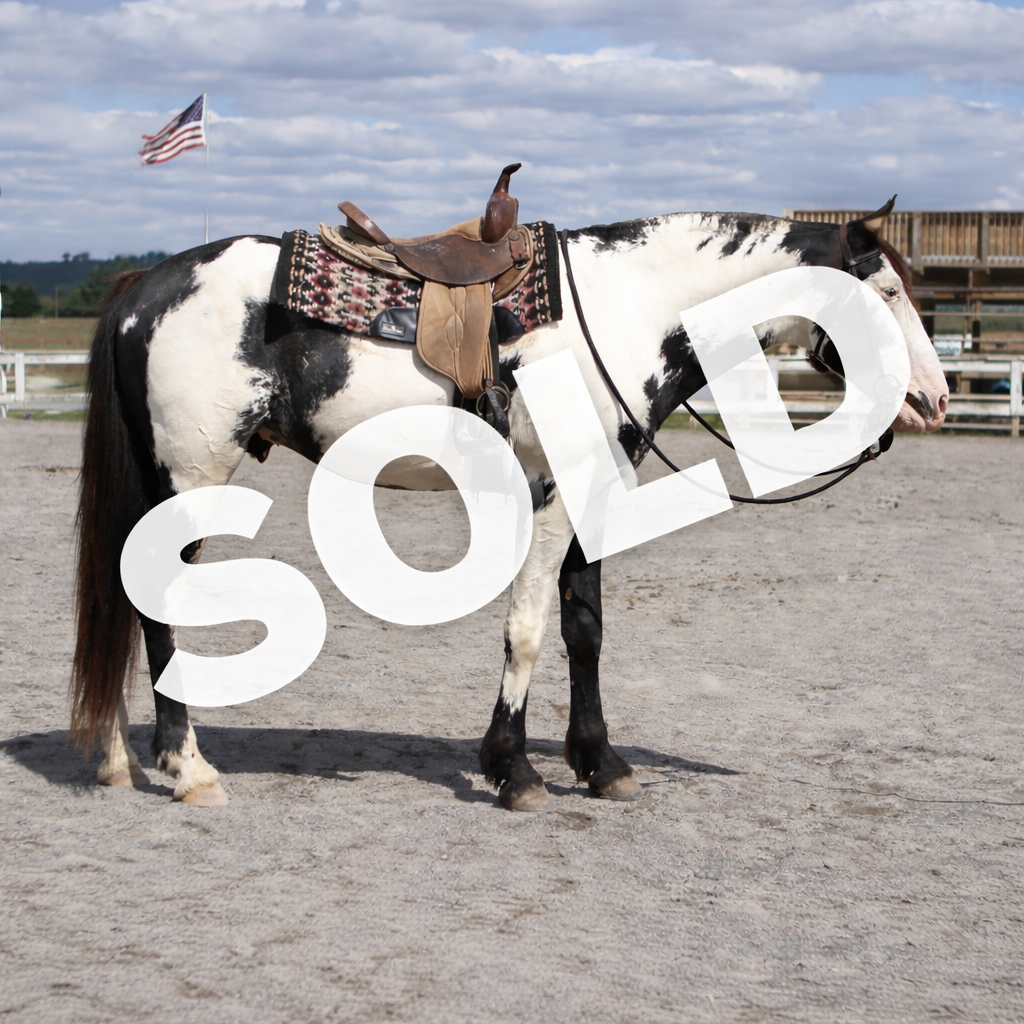 SVF MIGHTY MAN OF VALOR