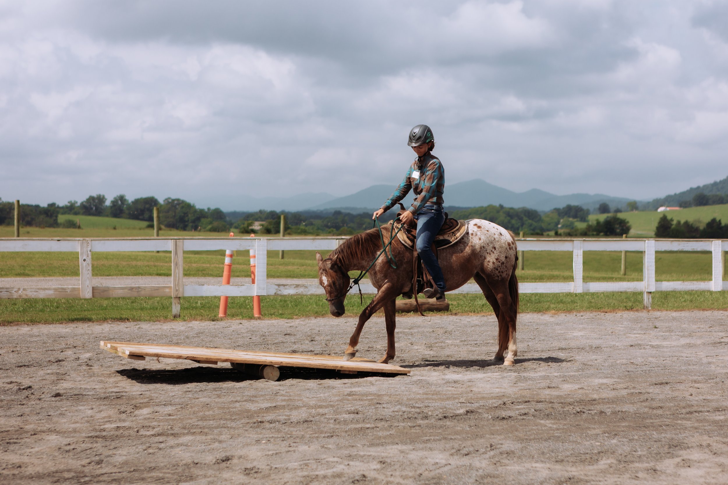 SPRING VALLEY’S STELLA