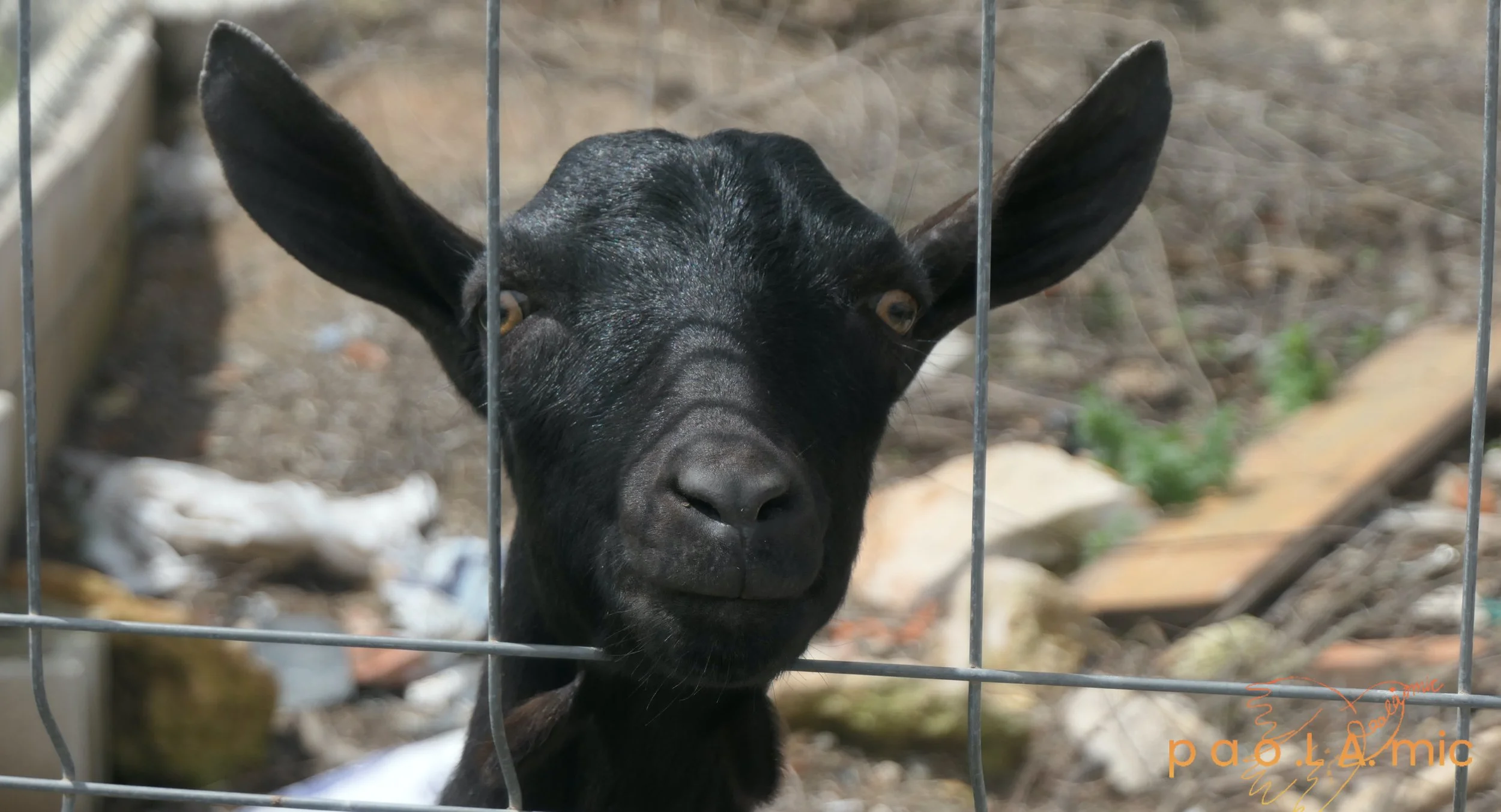 Favoriten mit Wasserzeichen26.jpg