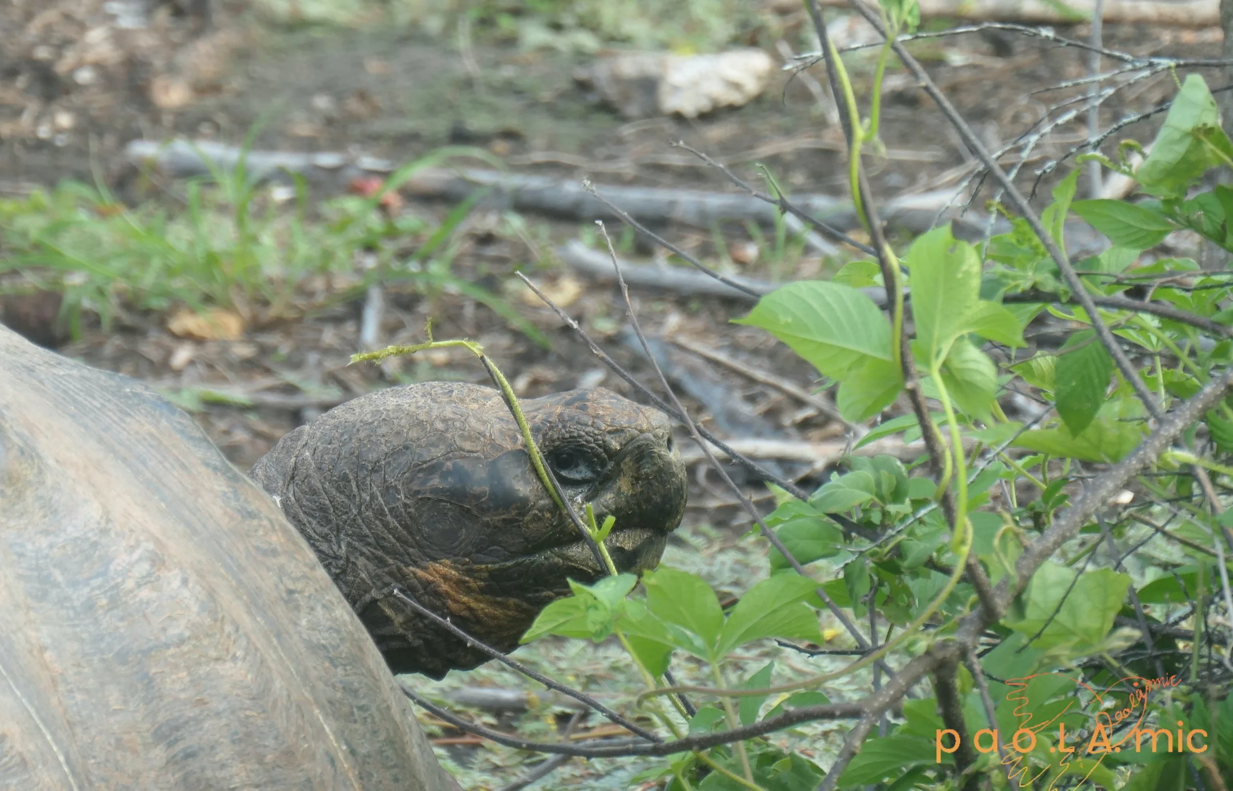 Favoriten mit Wasserzeichen34.jpg