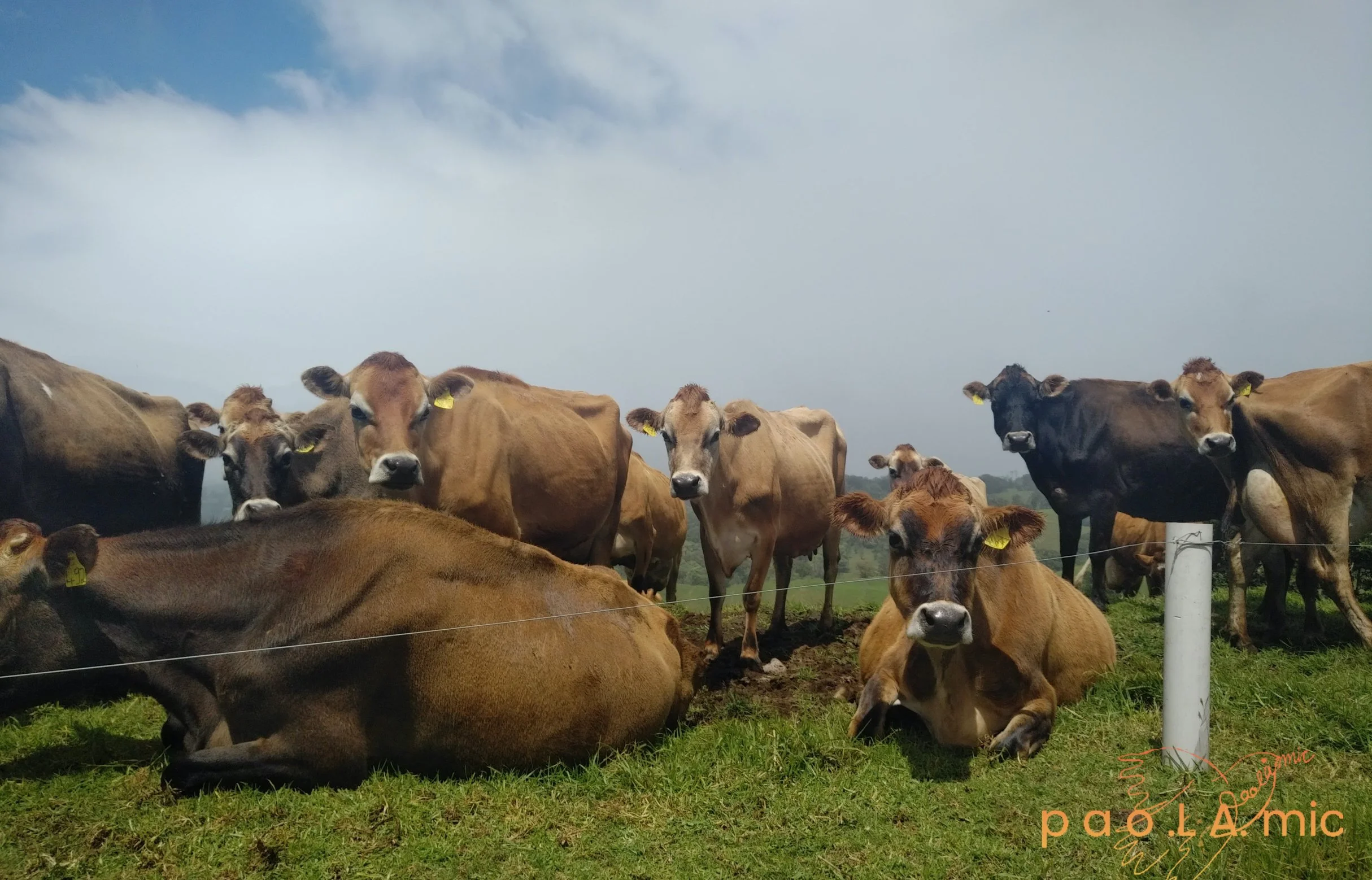 Favoriten mit Wasserzeichen13.jpg