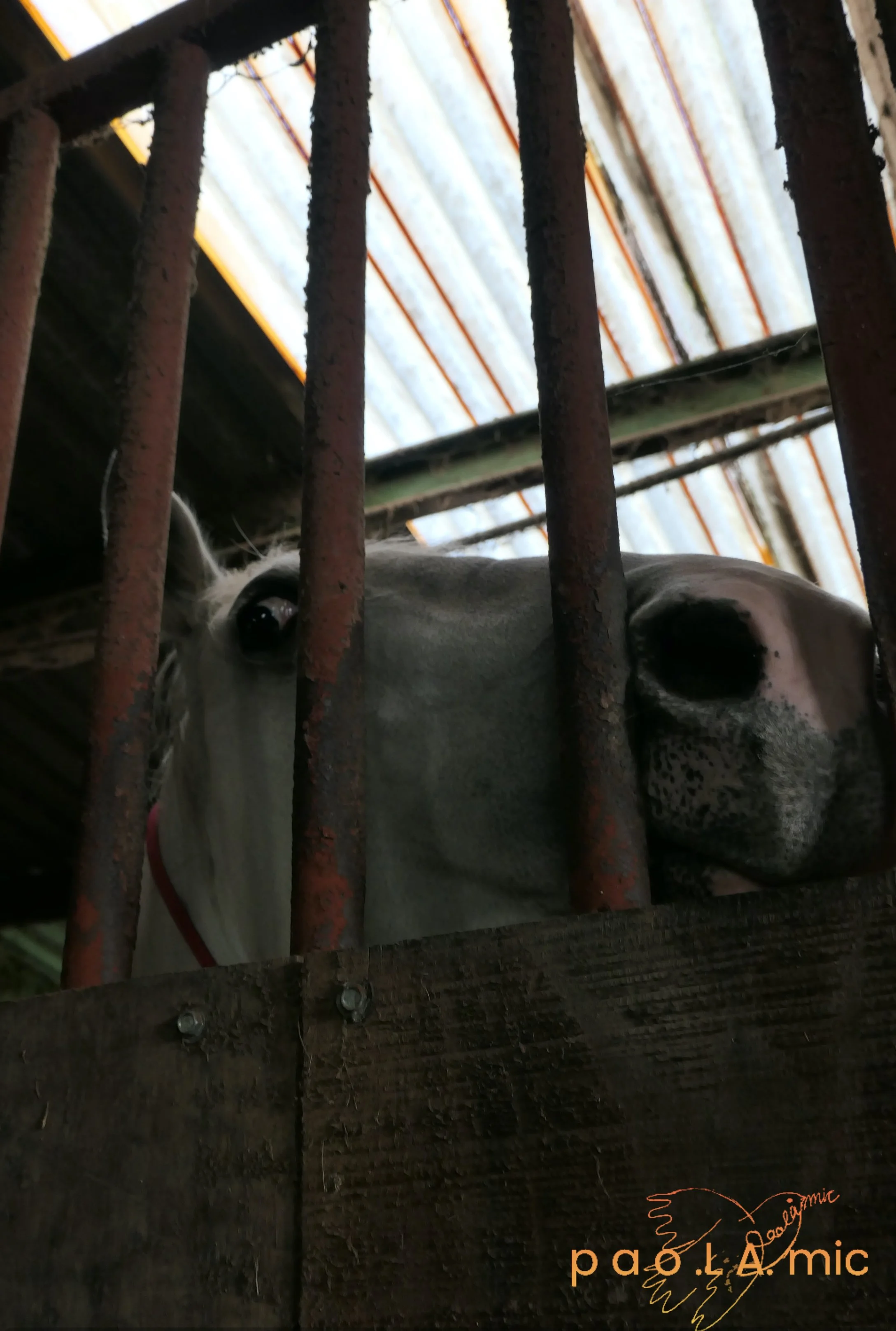 Favoriten mit Wasserzeichen17.jpg