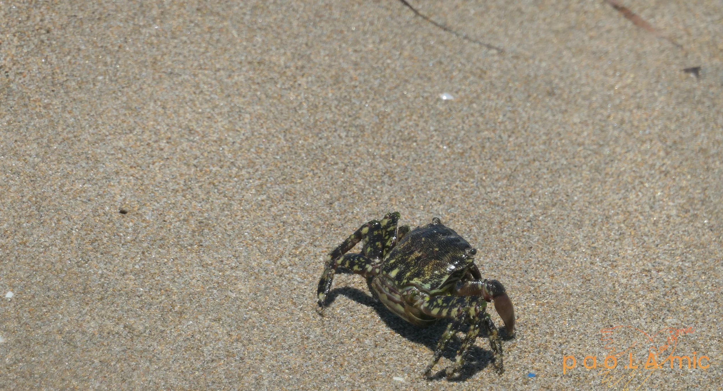 Favoriten mit Wasserzeichen4.jpg