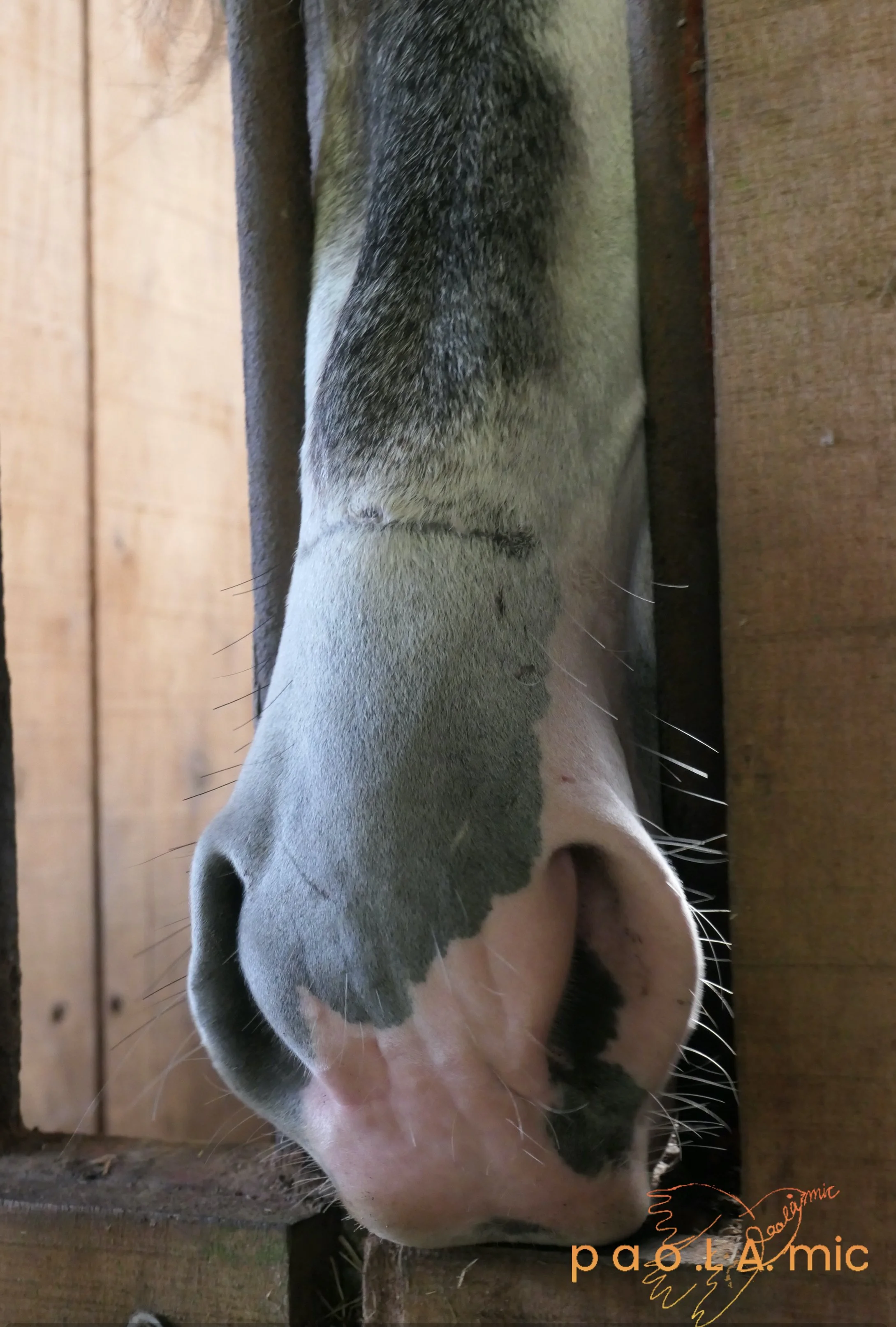 Favoriten mit Wasserzeichen16.jpg