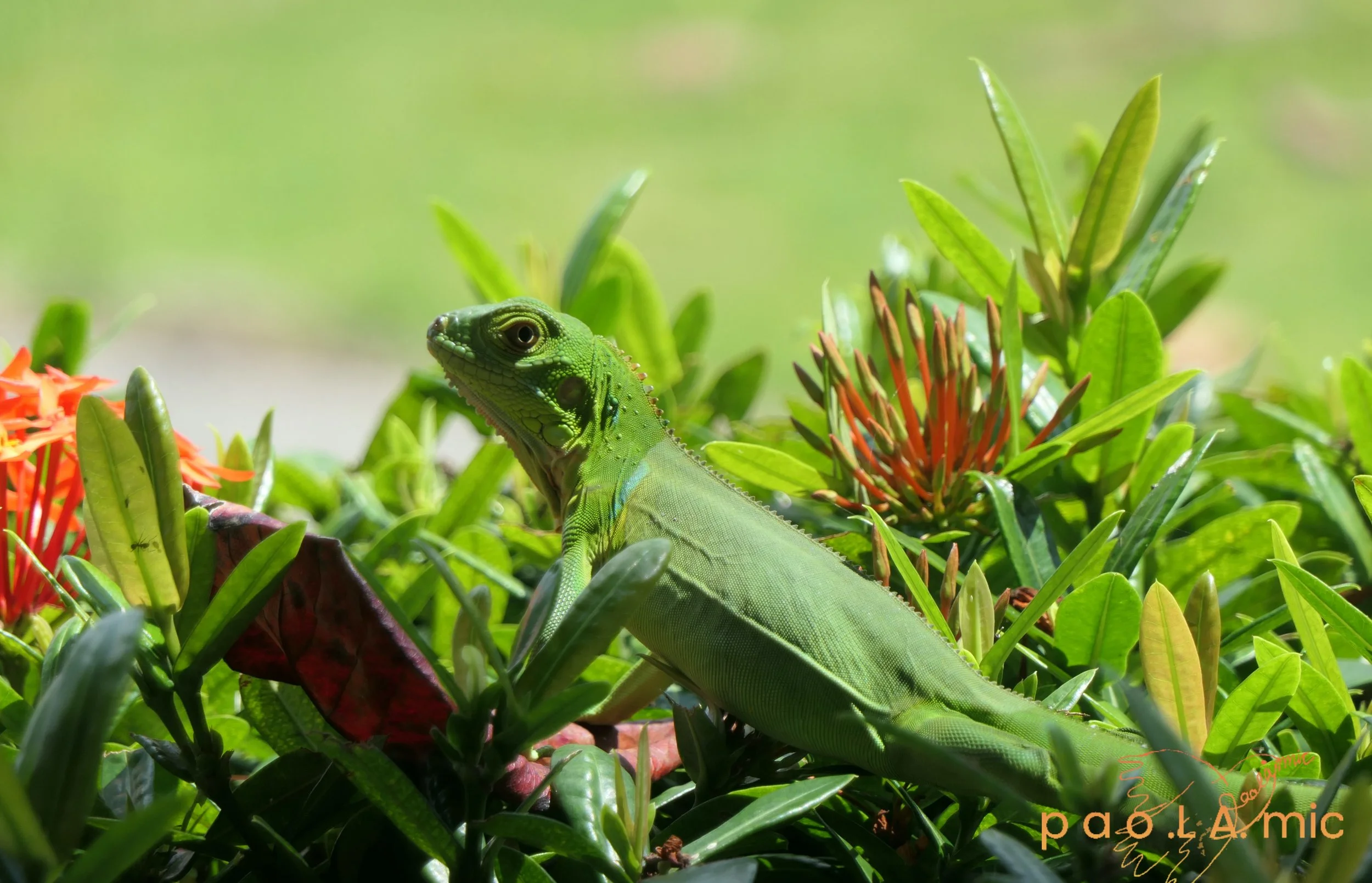 Favoriten mit Wasserzeichen18.jpg