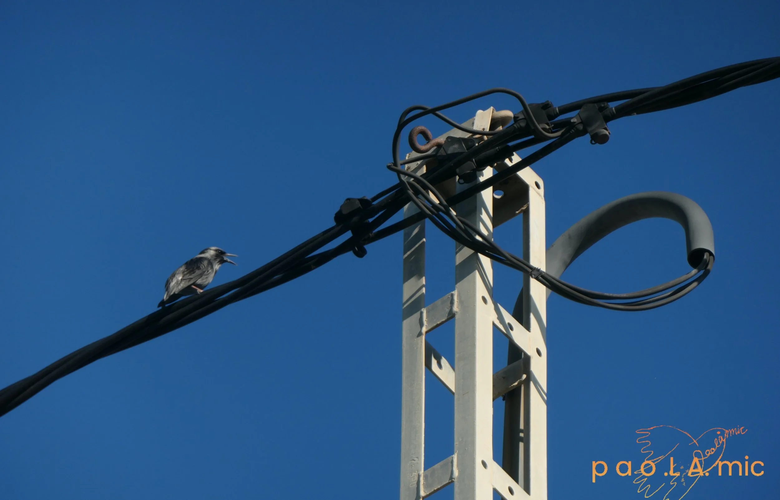 Favoriten mit Wasserzeichen25.jpg