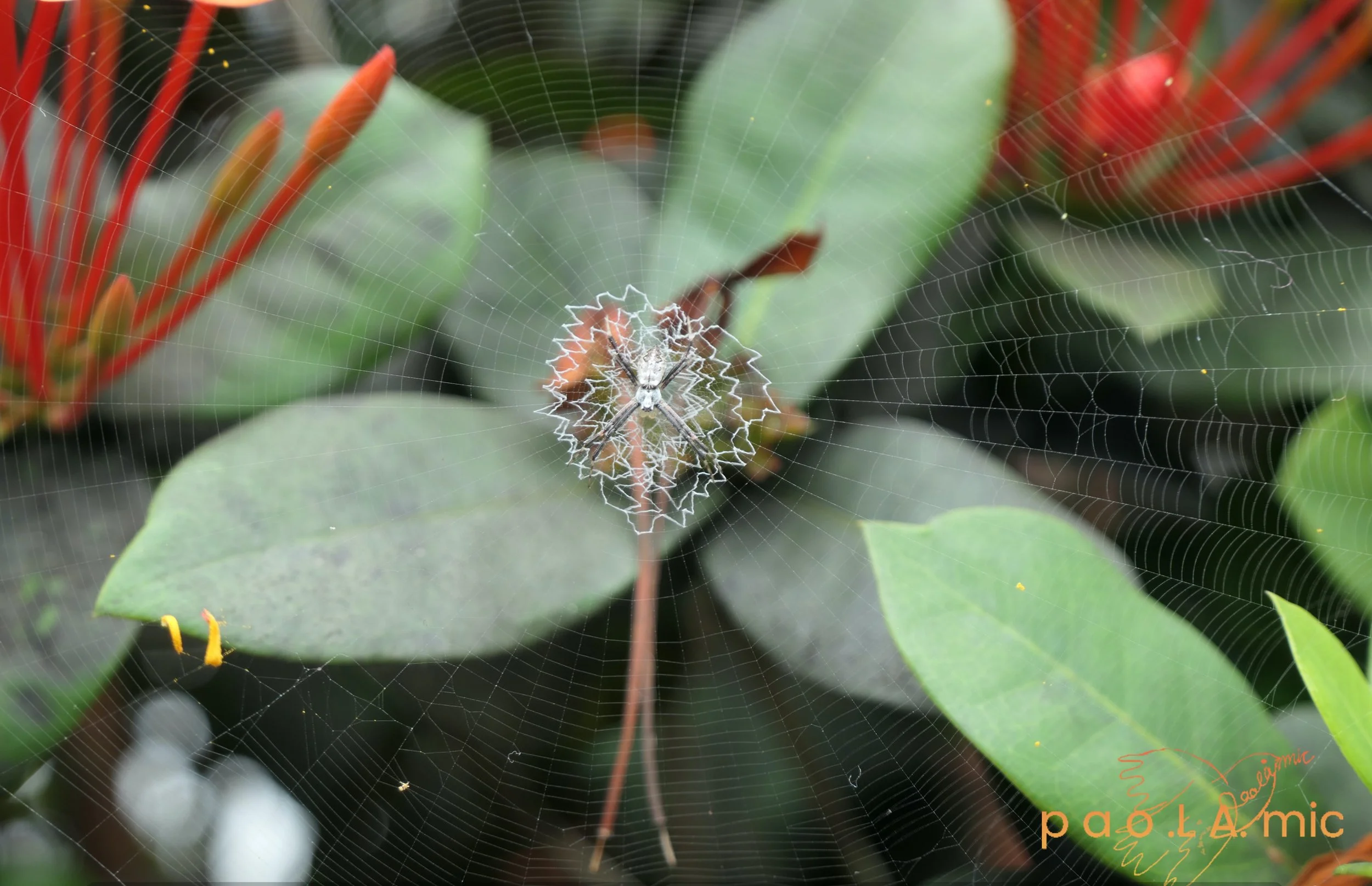 Favoriten mit Wasserzeichen19.jpg