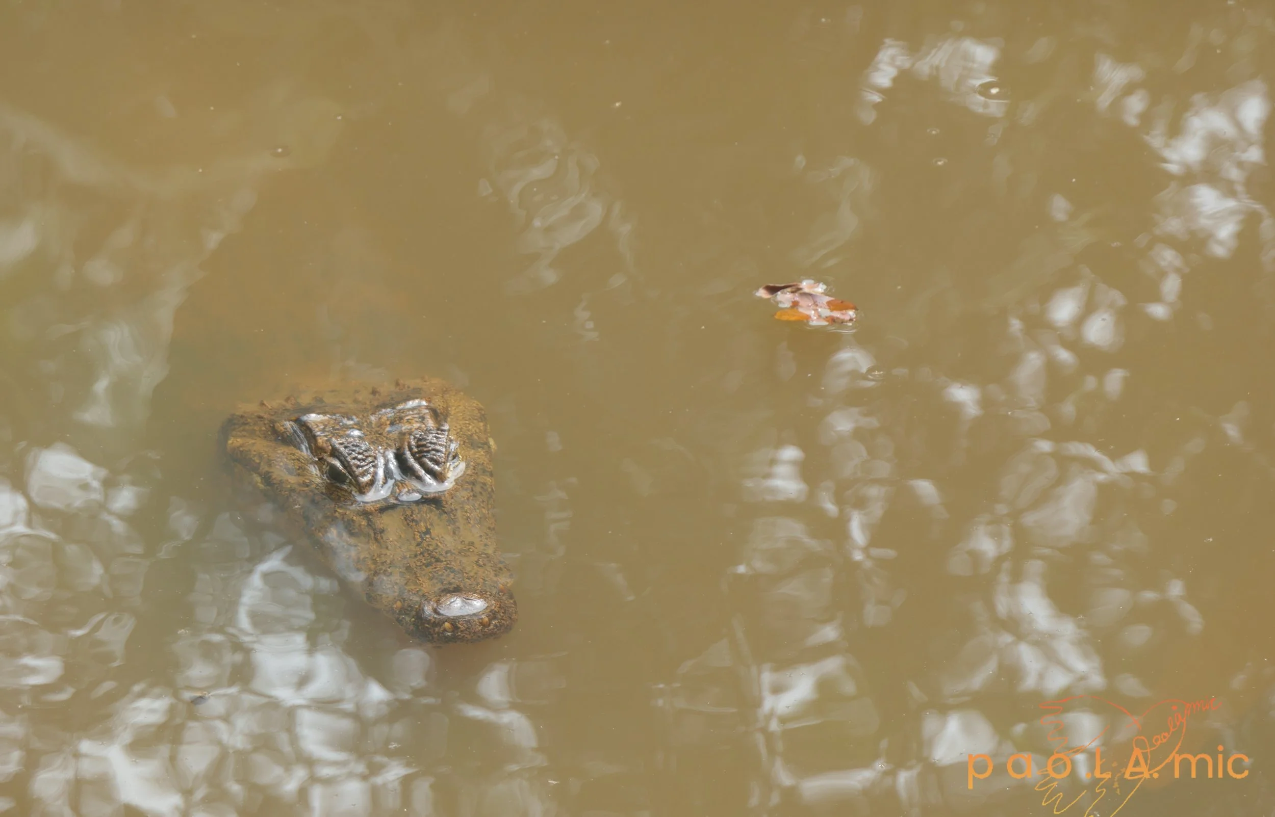 Favoriten mit Wasserzeichen10.jpg