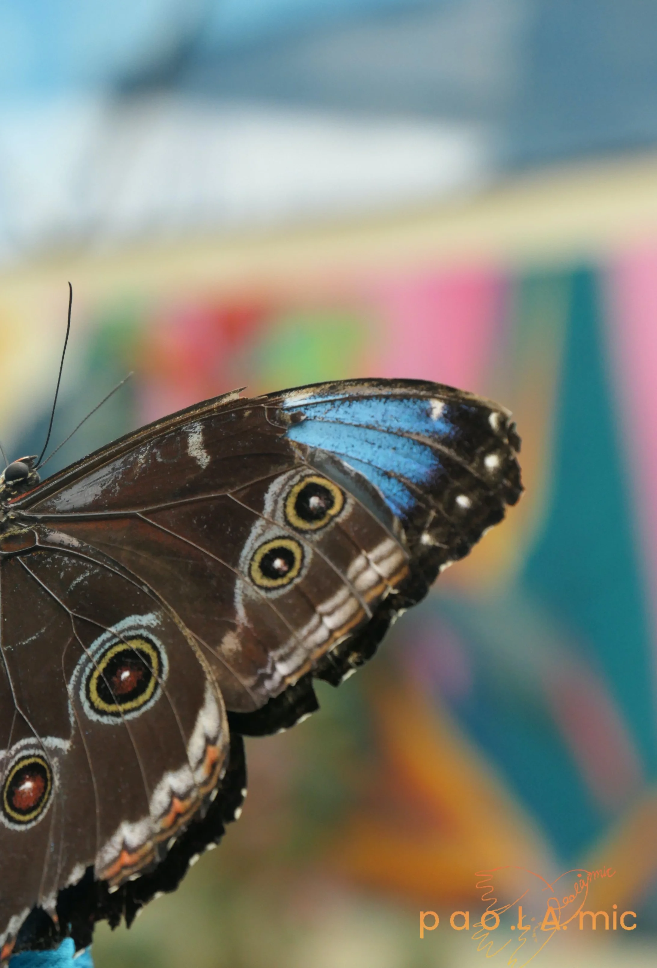 Favoriten mit Wasserzeichen2.jpg