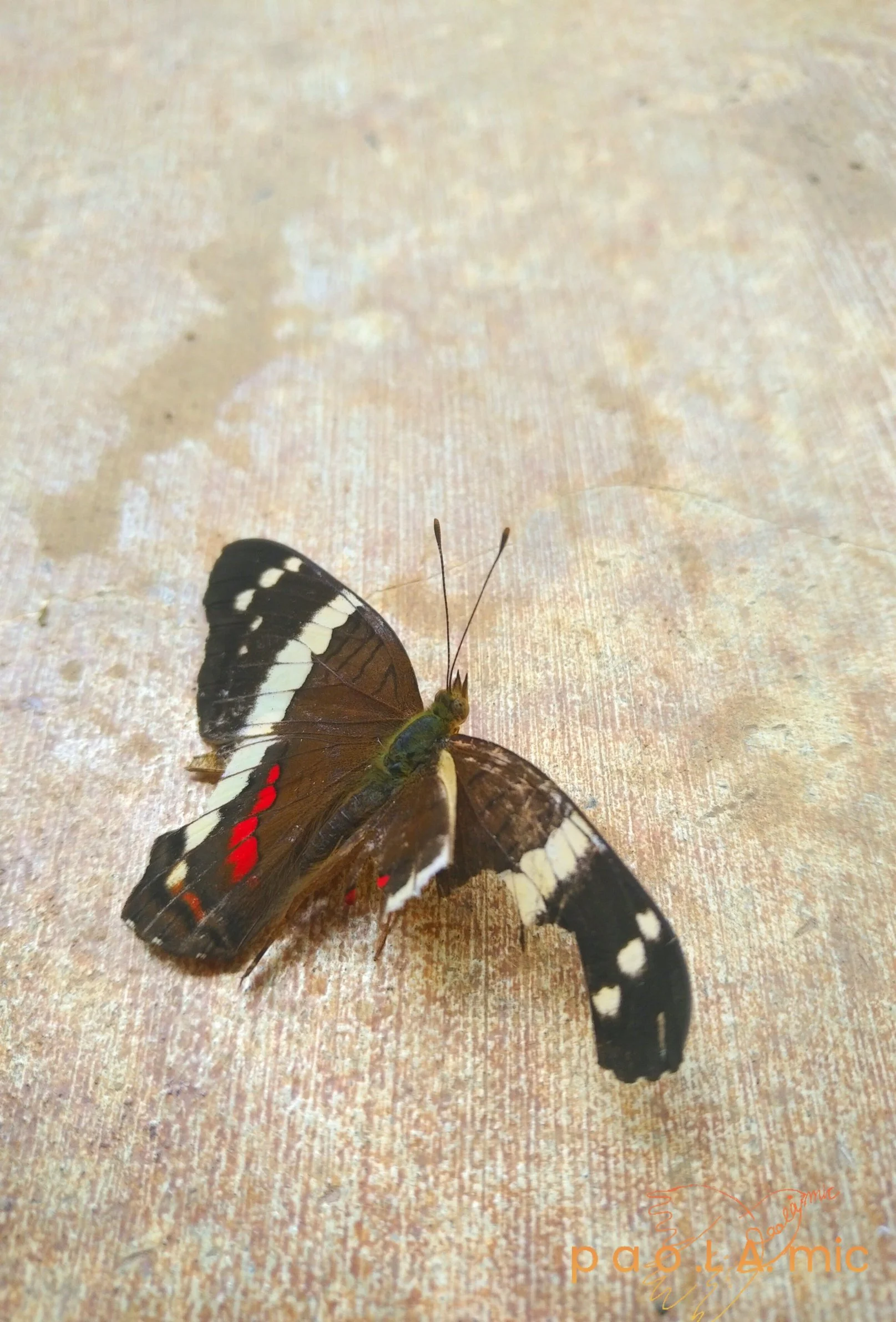 Favoriten mit Wasserzeichen12.jpg