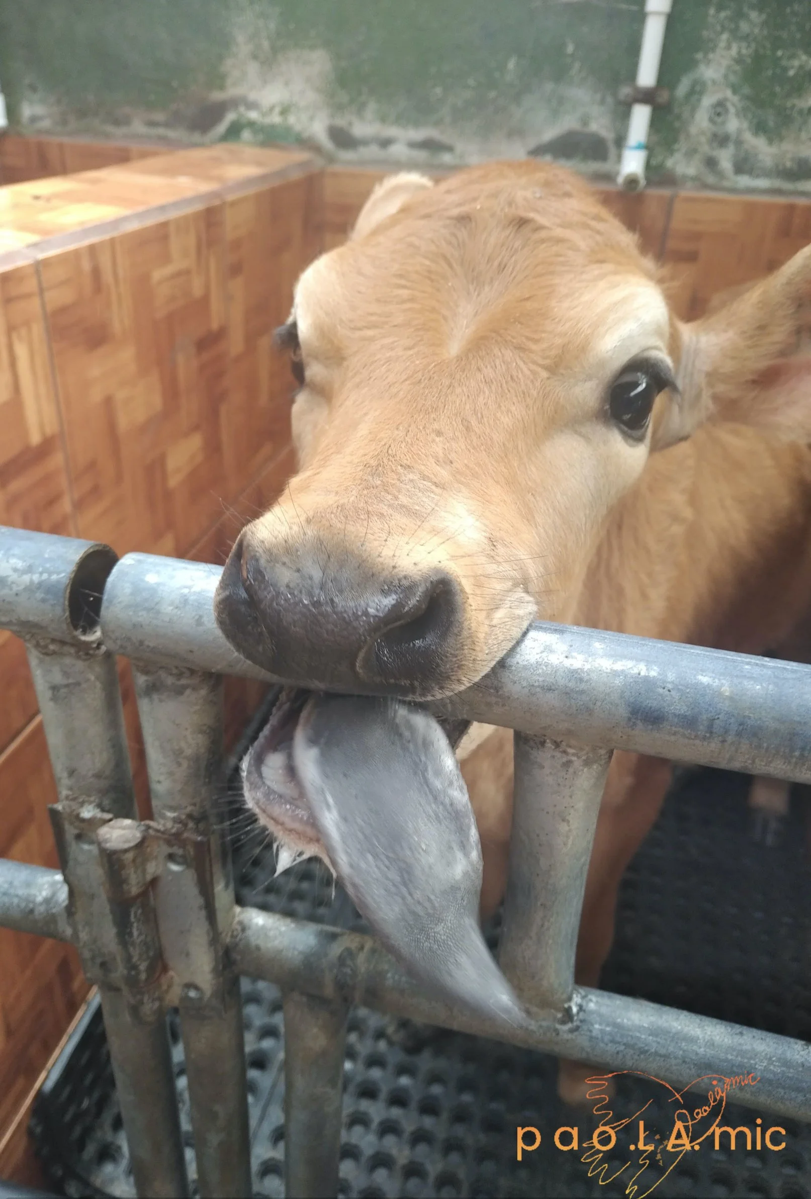 Favoriten mit Wasserzeichen14.jpg