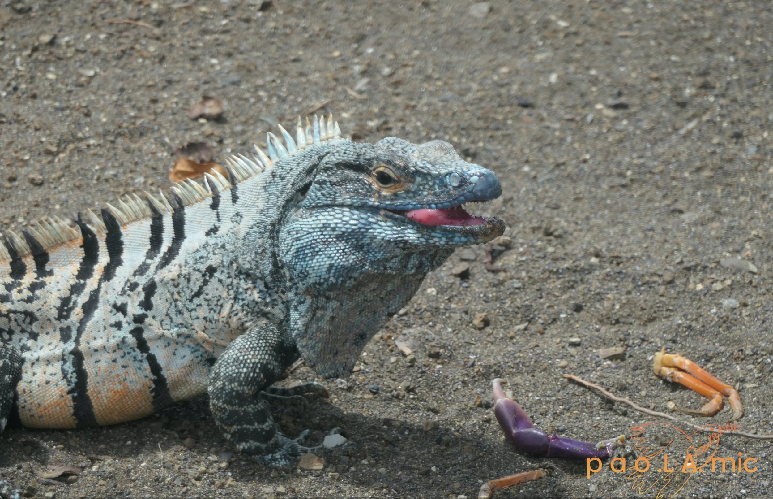 Favoriten mit Wasserzeichen21.jpg