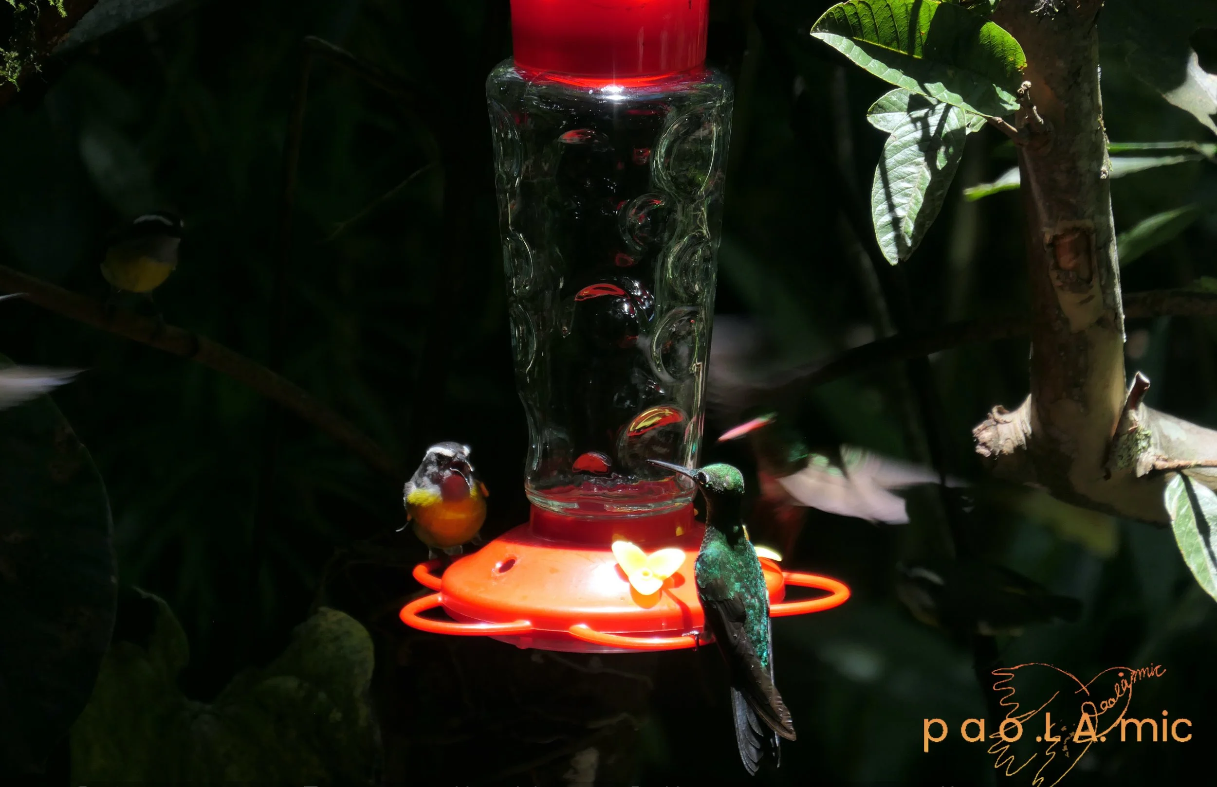 Favoriten mit Wasserzeichen7.jpg