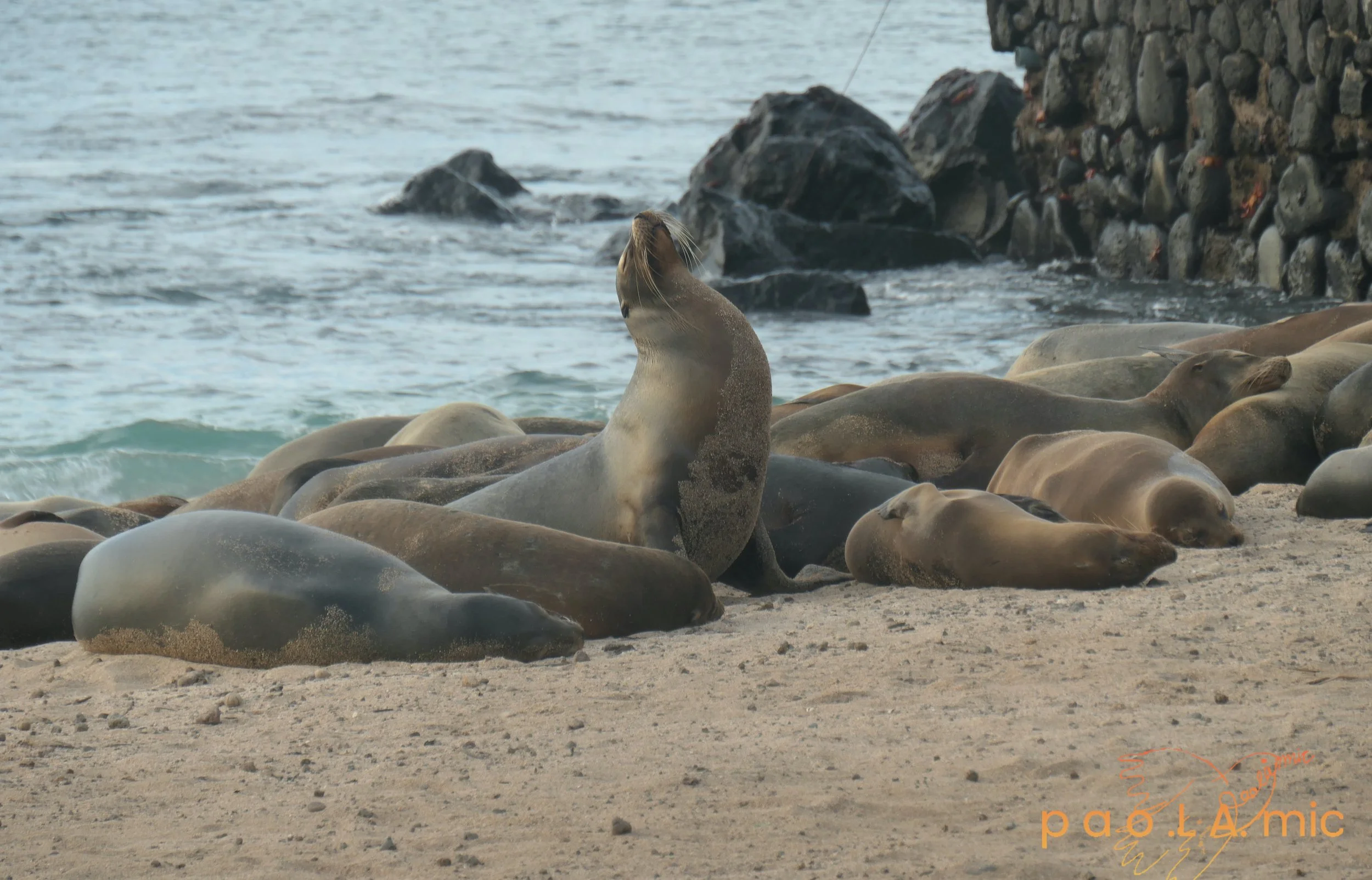 Favoriten mit Wasserzeichen33.jpg