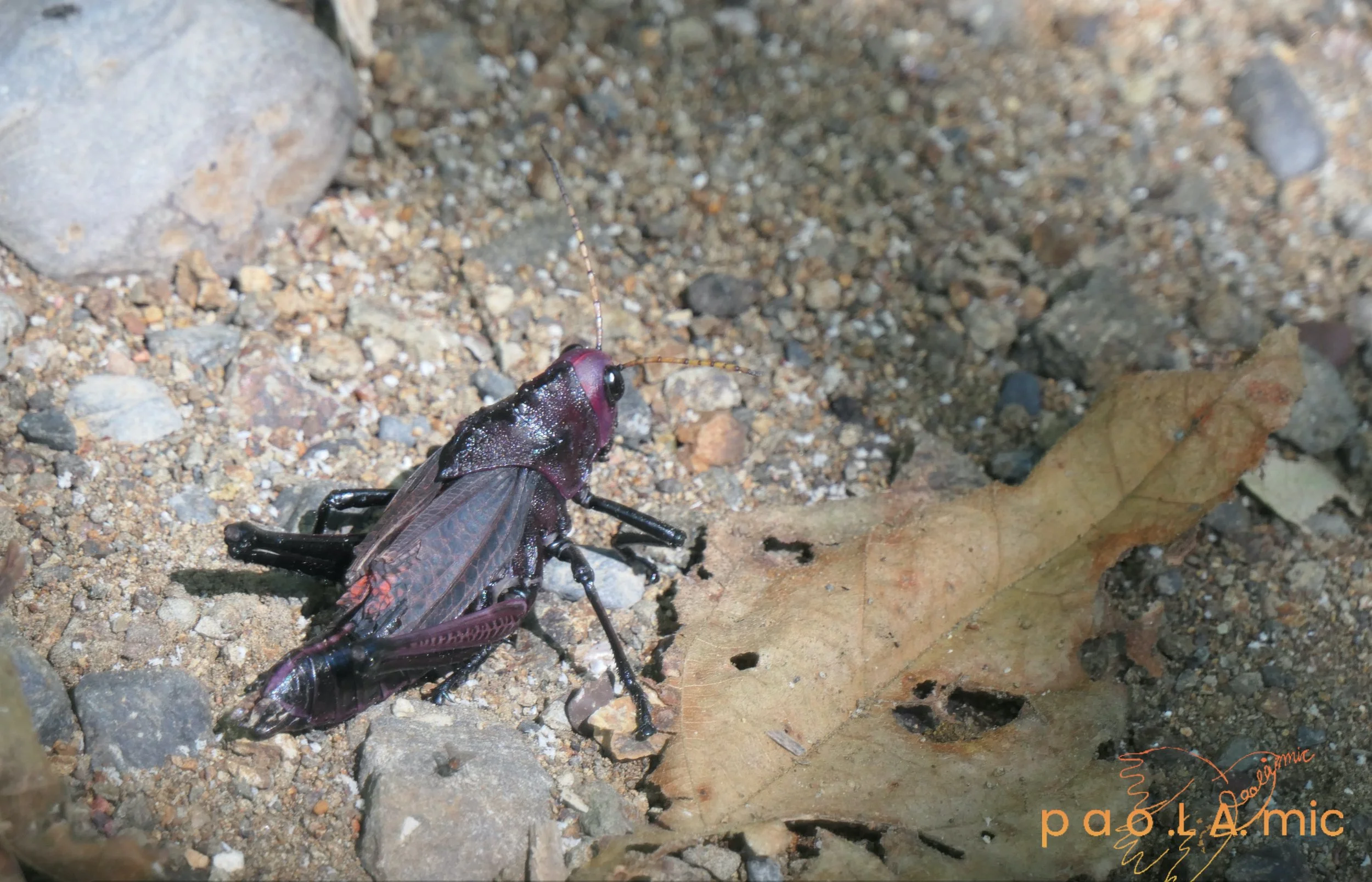 Favoriten mit Wasserzeichen22.jpg