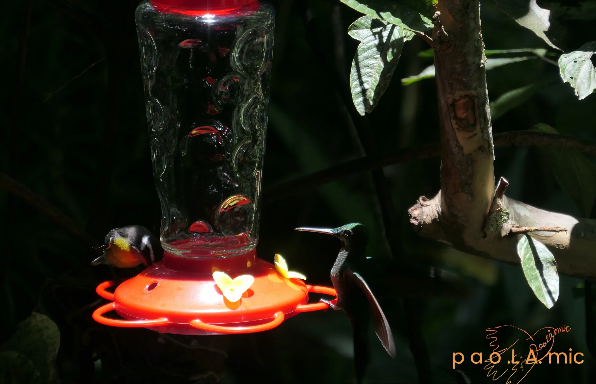 Favoriten mit Wasserzeichen30.jpg