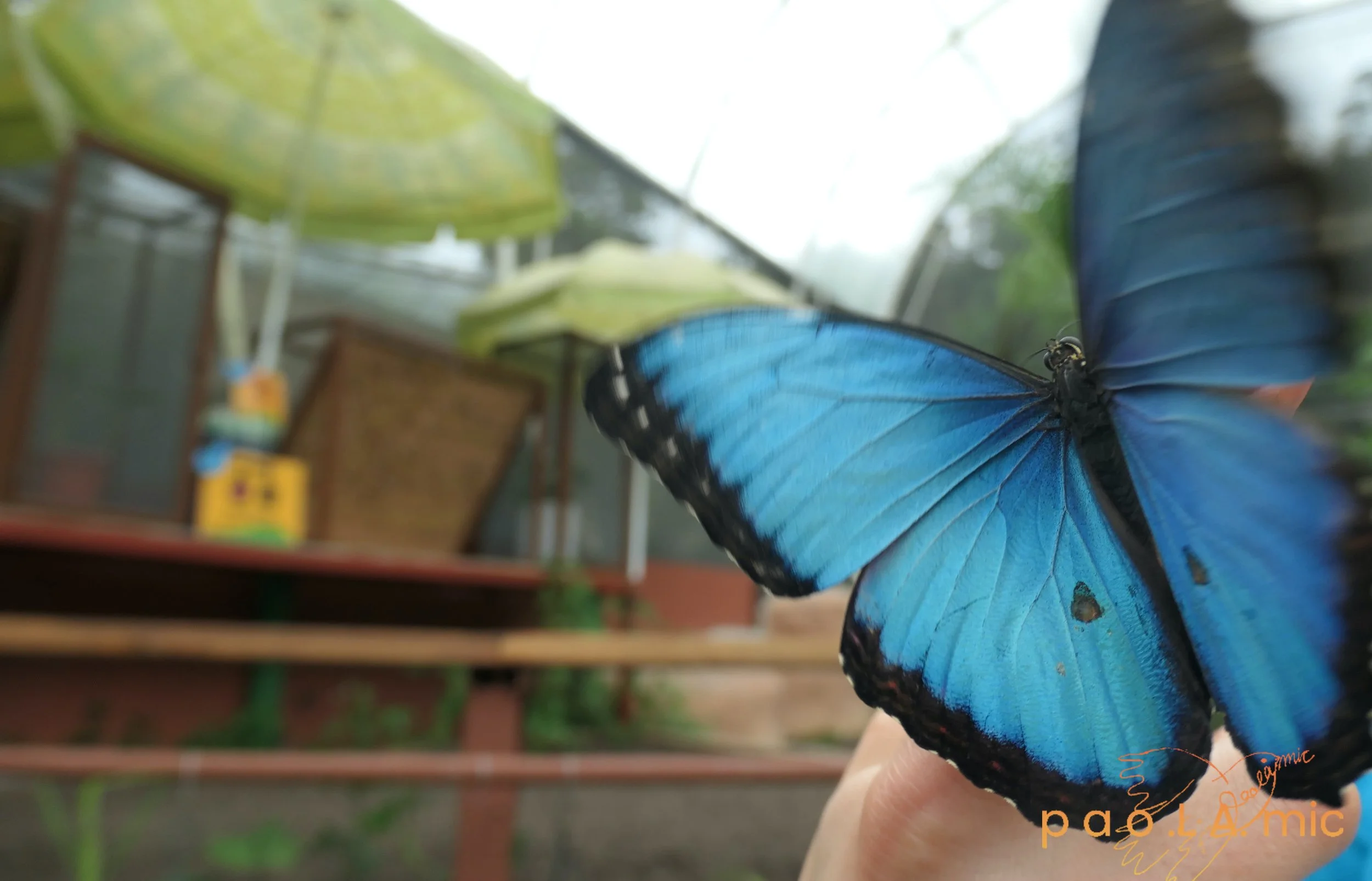 Favoriten mit Wasserzeichen32.jpg