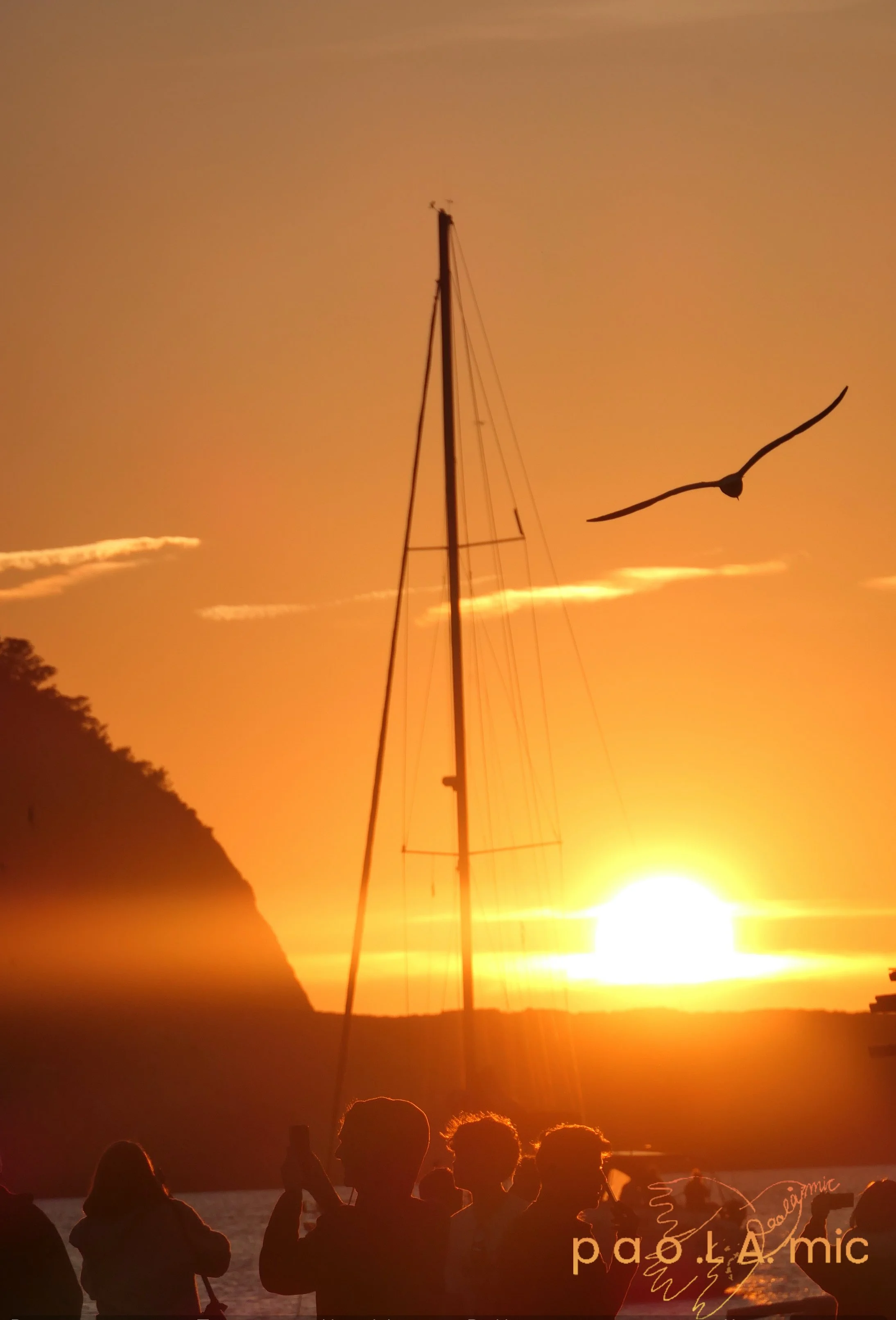 Favoriten mit Wasserzeichen1.jpg