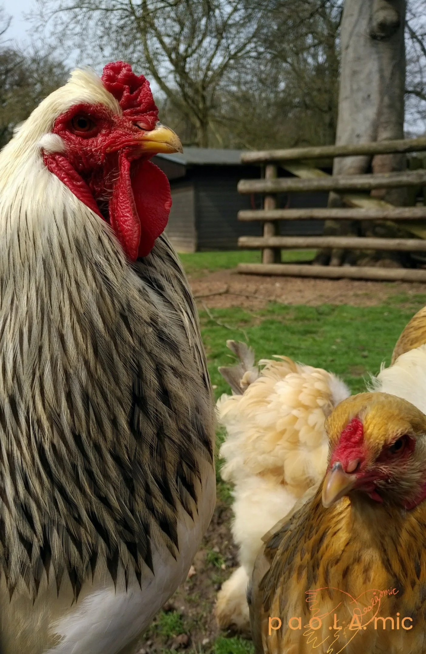 Favoriten mit Wasserzeichen11.jpg