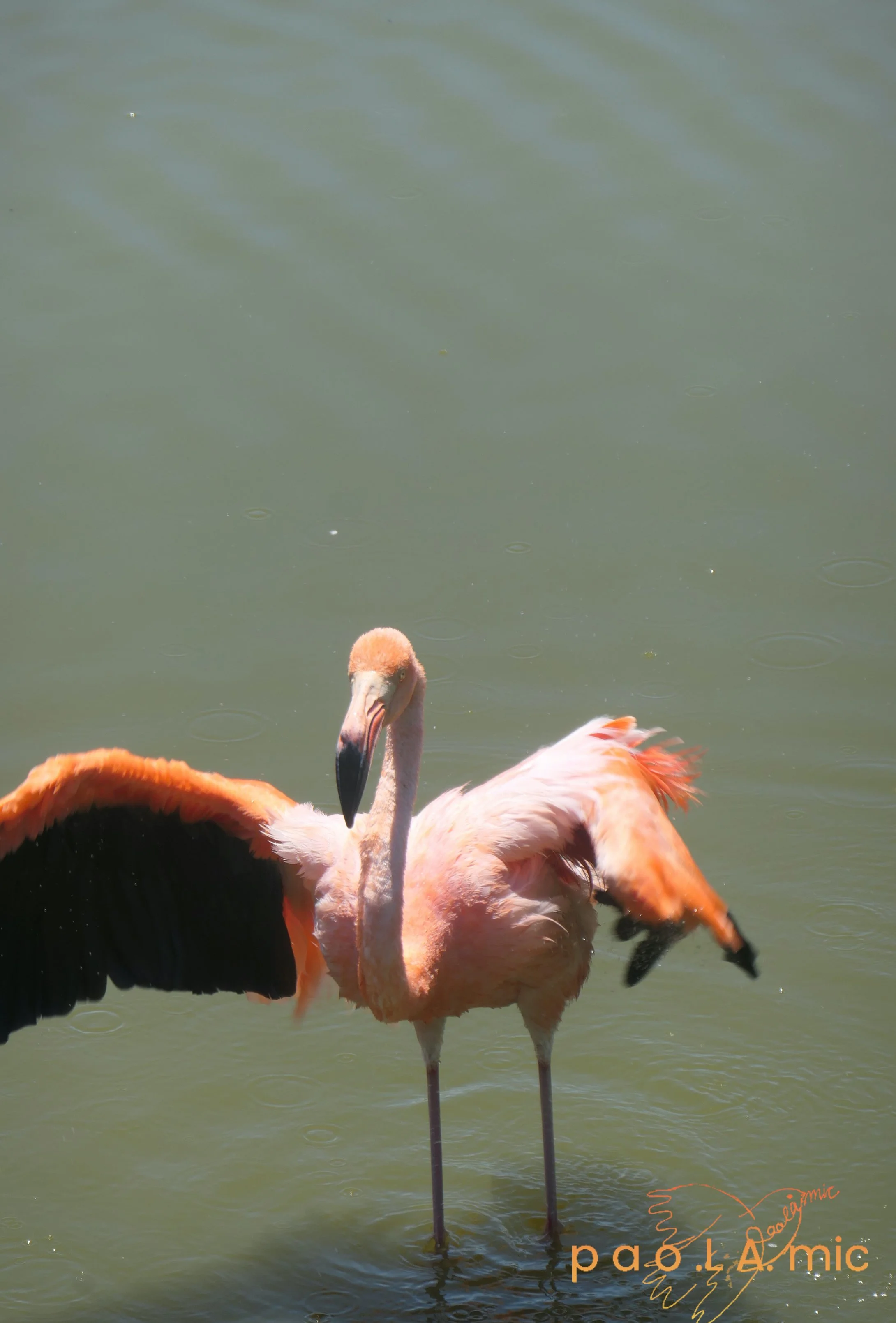 Favoriten mit Wasserzeichen3.jpg