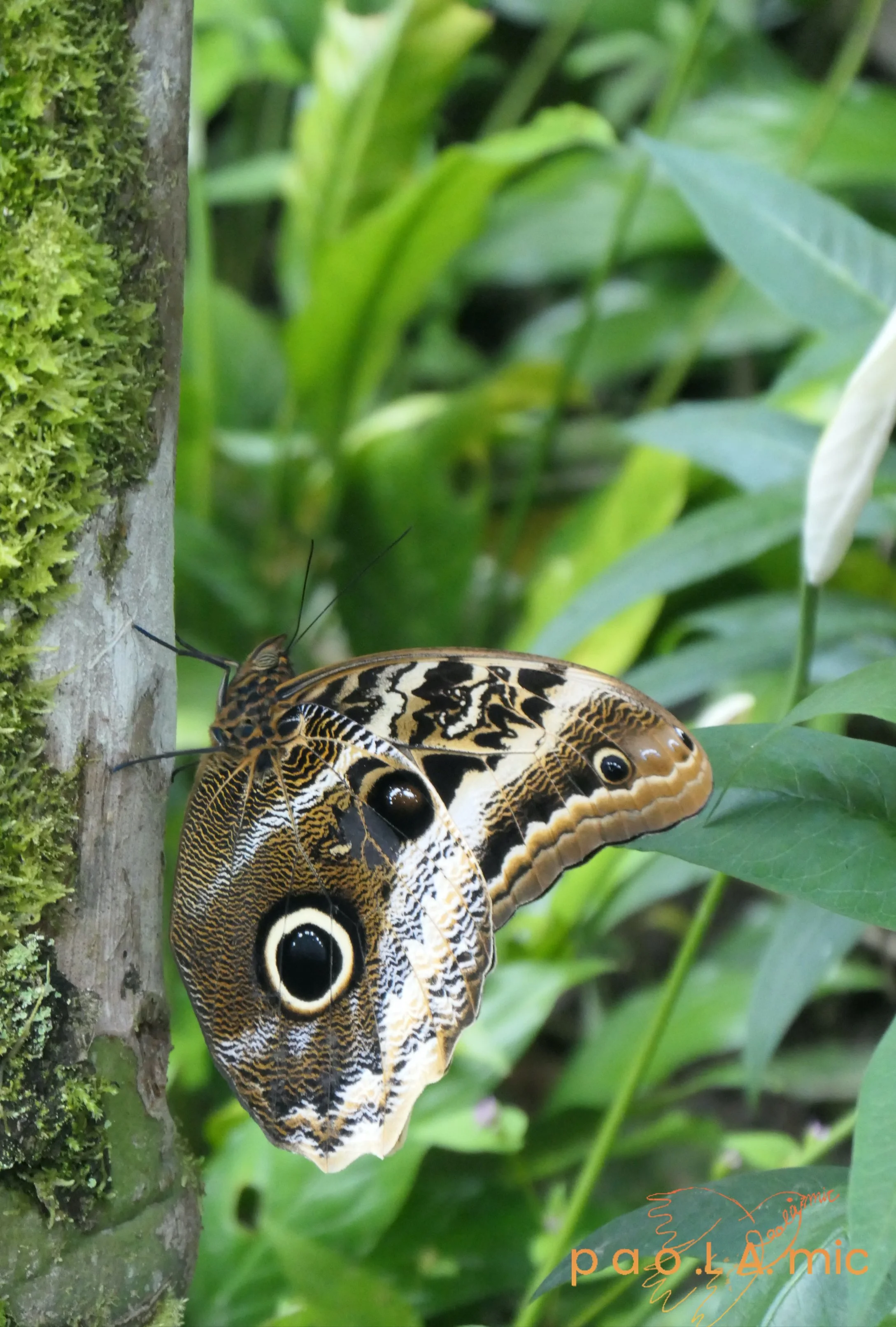 Favoriten mit Wasserzeichen31.jpg
