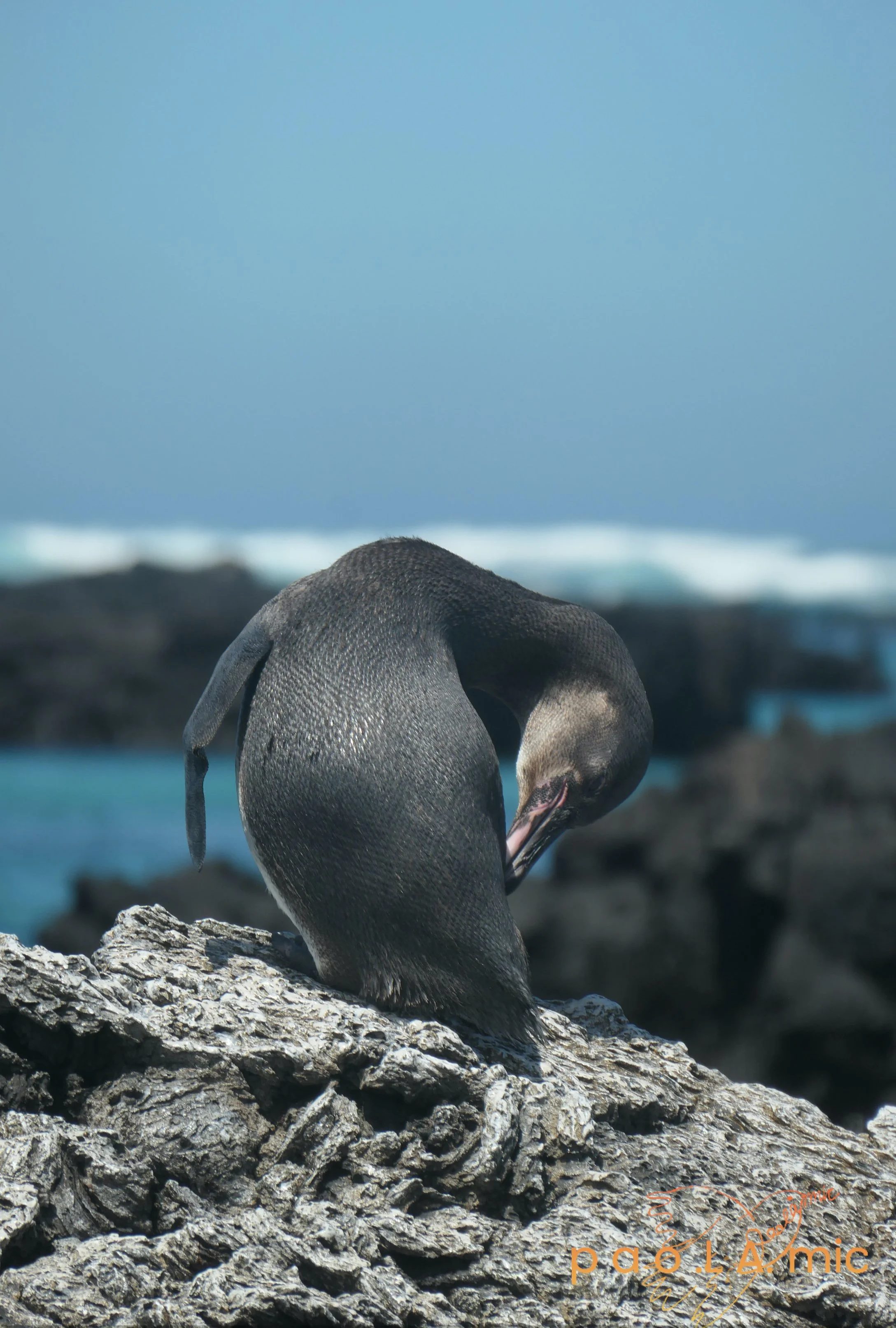 Favoriten mit Wasserzeichen9.jpg