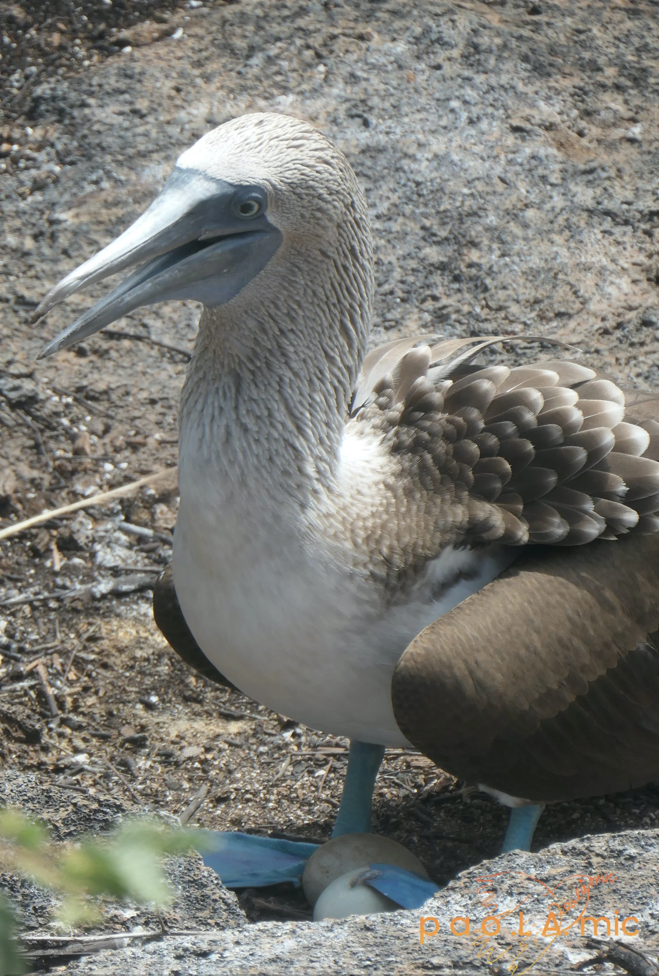Favoriten mit Wasserzeichen8.jpg