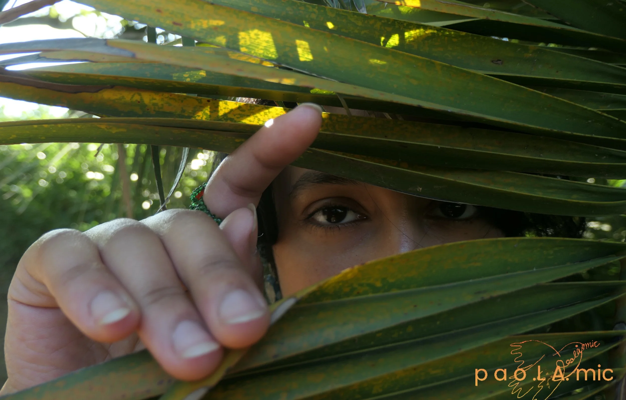 Favoriten mit Wasserzeichen25.jpg