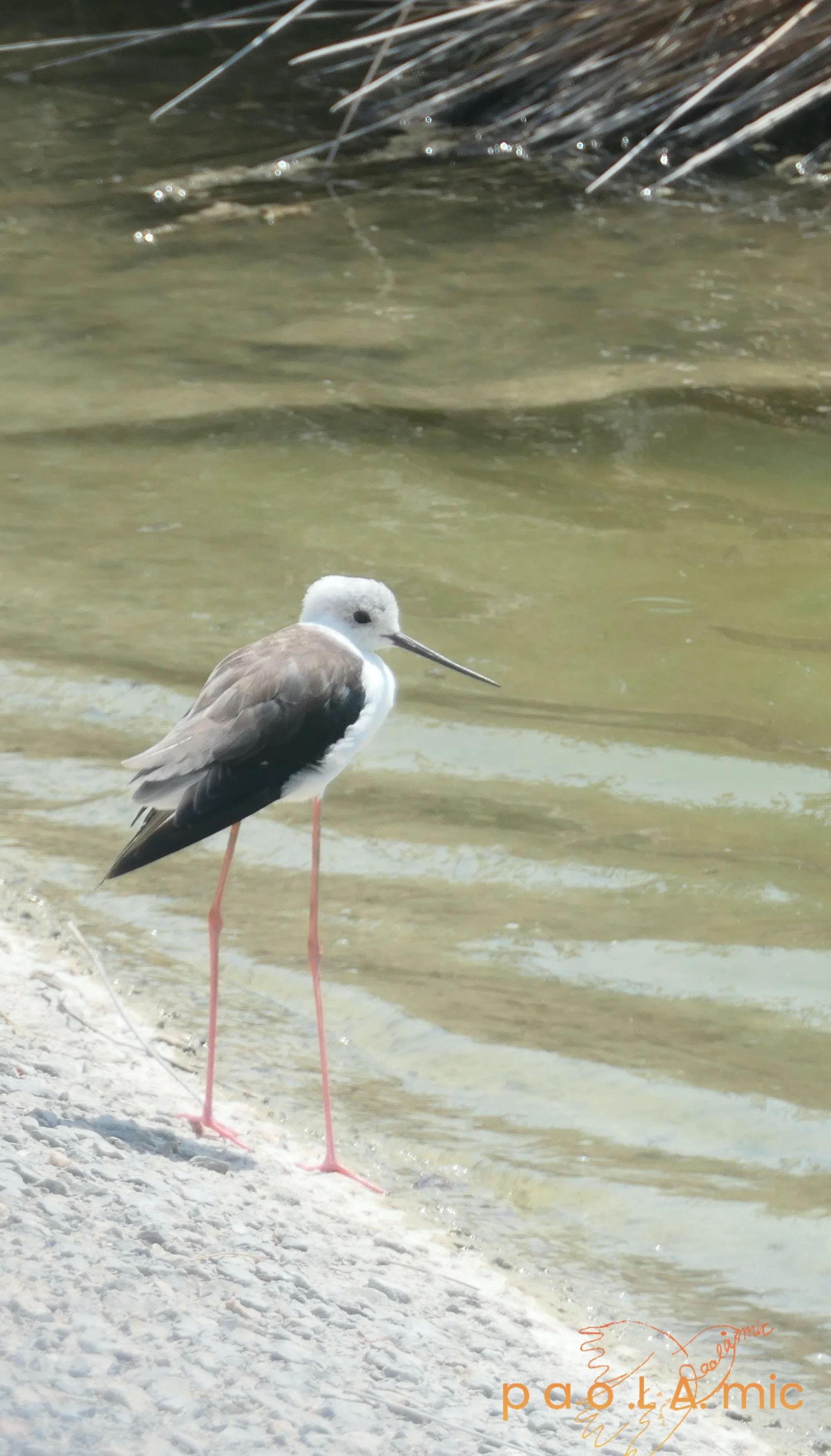 Favoriten mit Wasserzeichen6.jpg