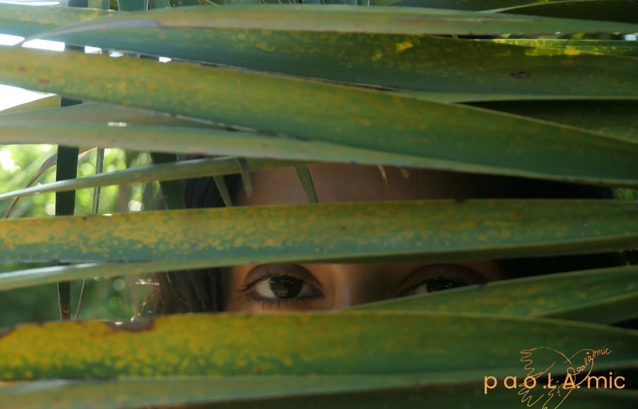 Favoriten mit Wasserzeichen24.jpg