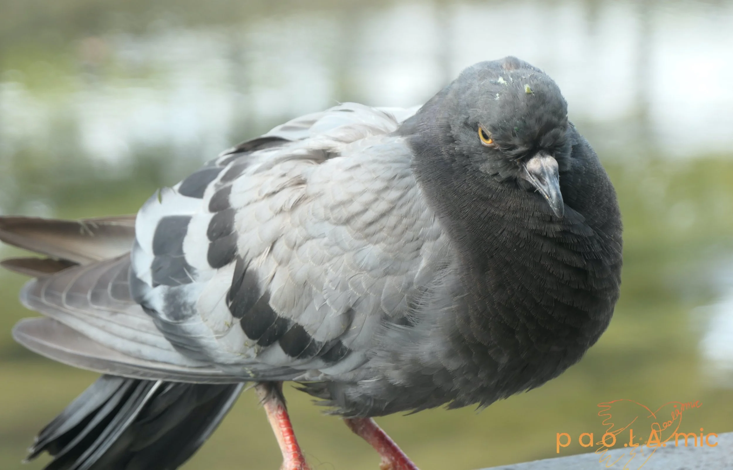 Favoriten mit Wasserzeichen24.jpg