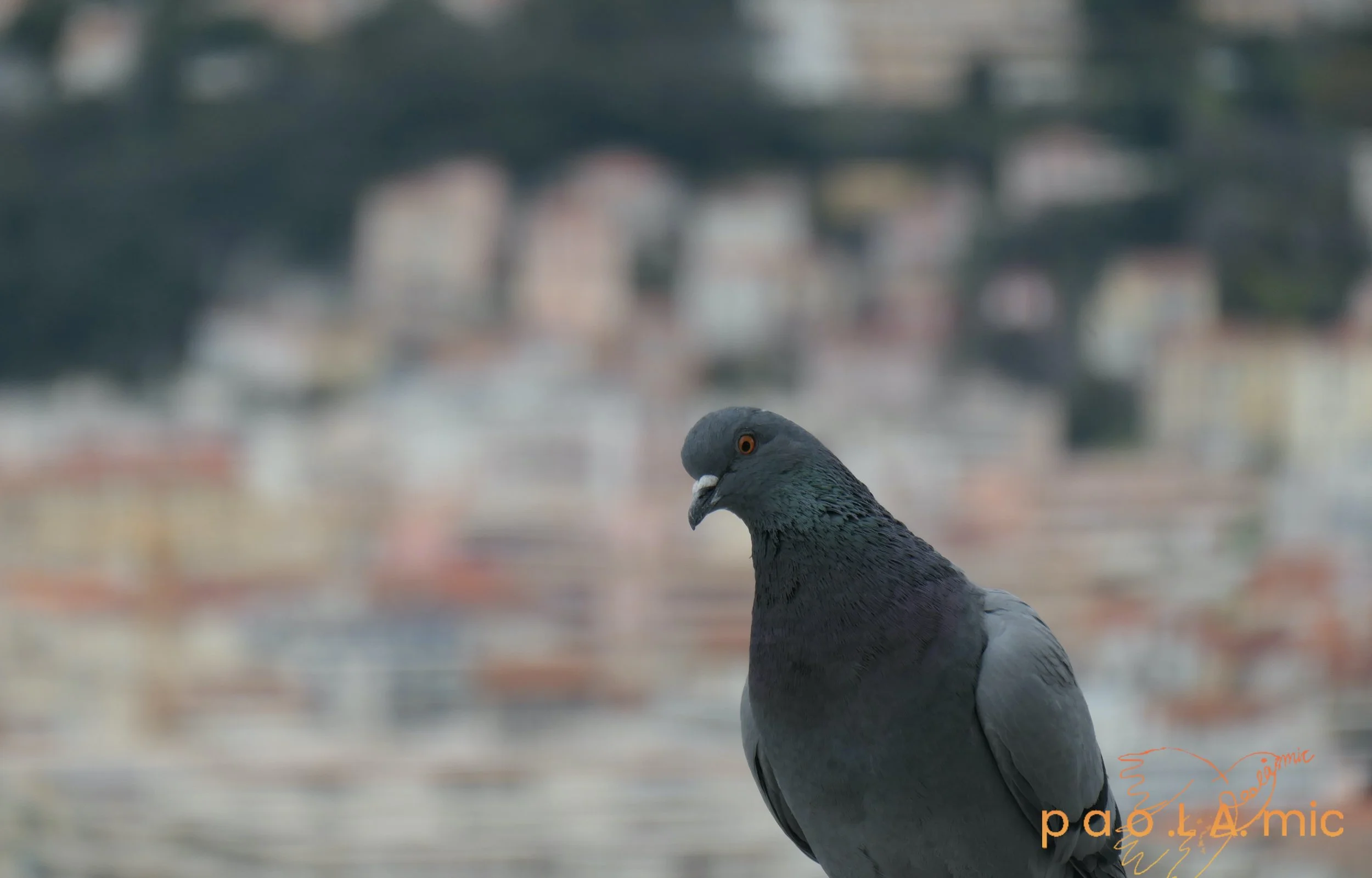 Favoriten mit Wasserzeichen29.jpg