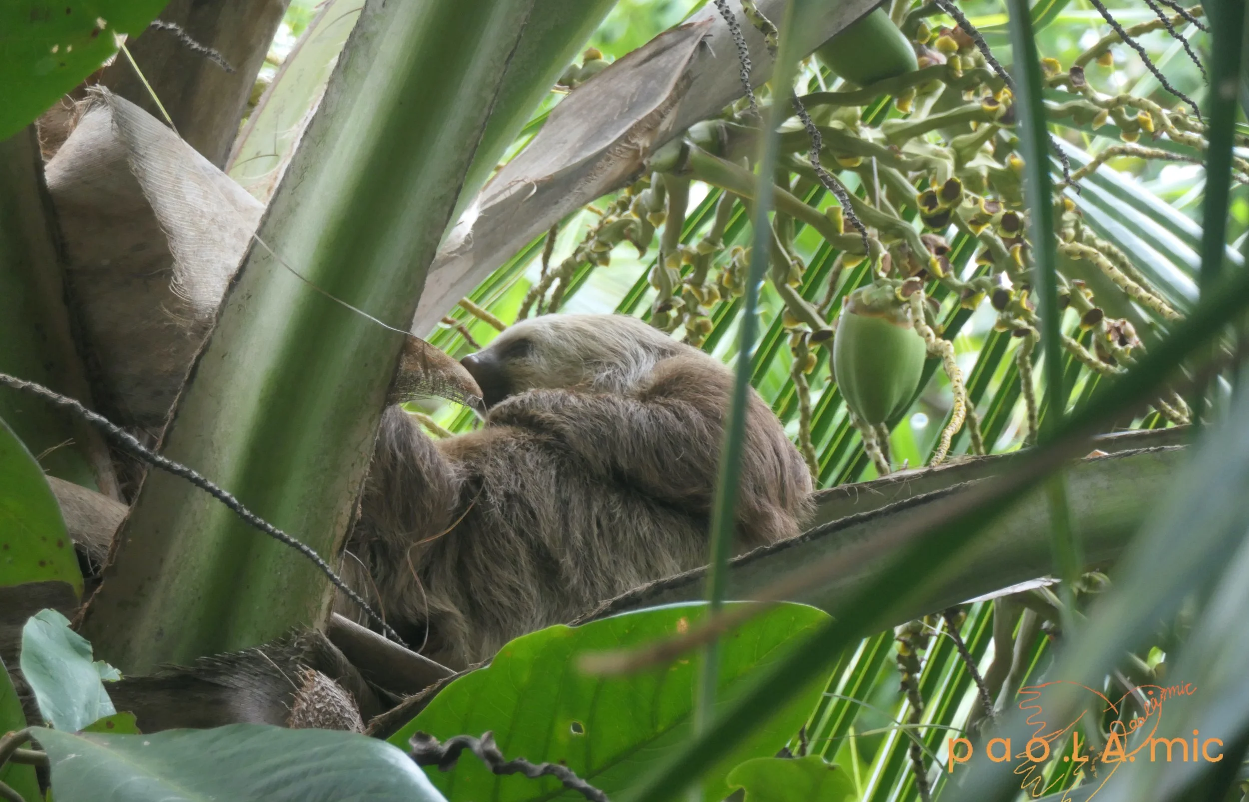 Favoriten mit Wasserzeichen20.jpg