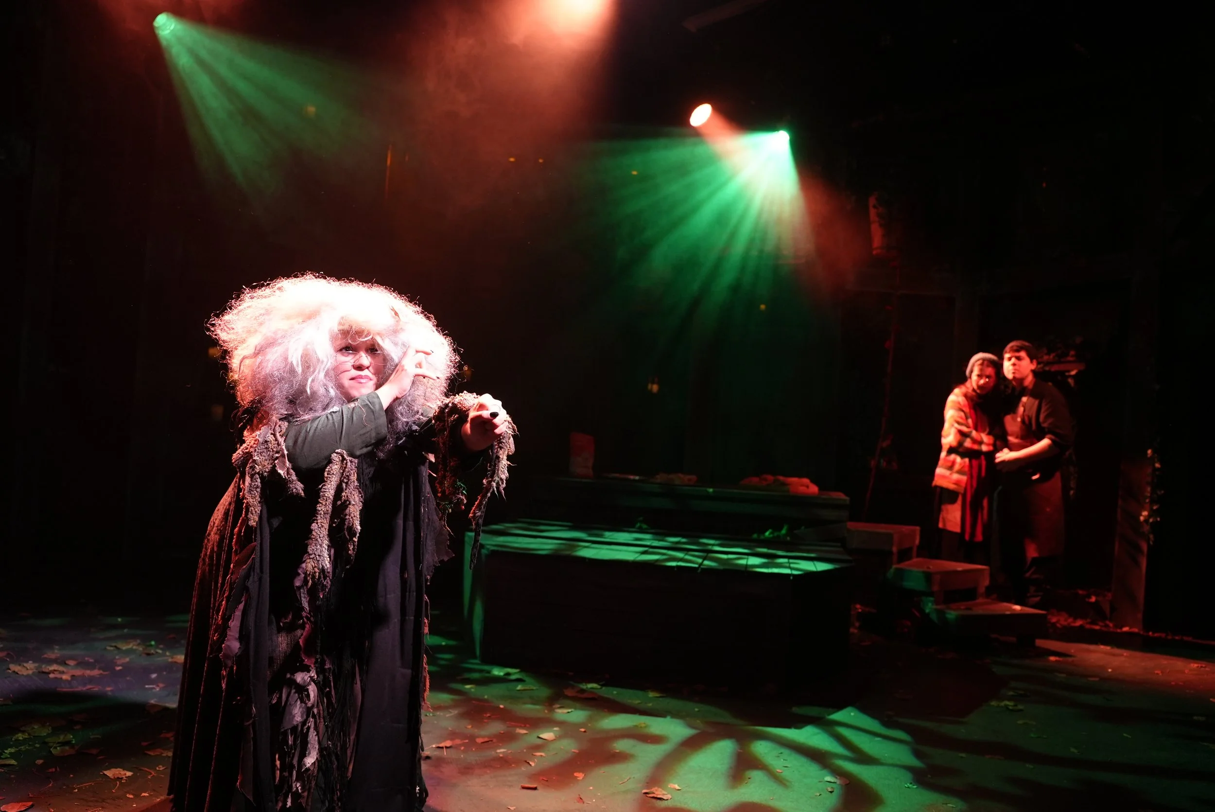  Into the Woods (Student Professional Cast), 2026 