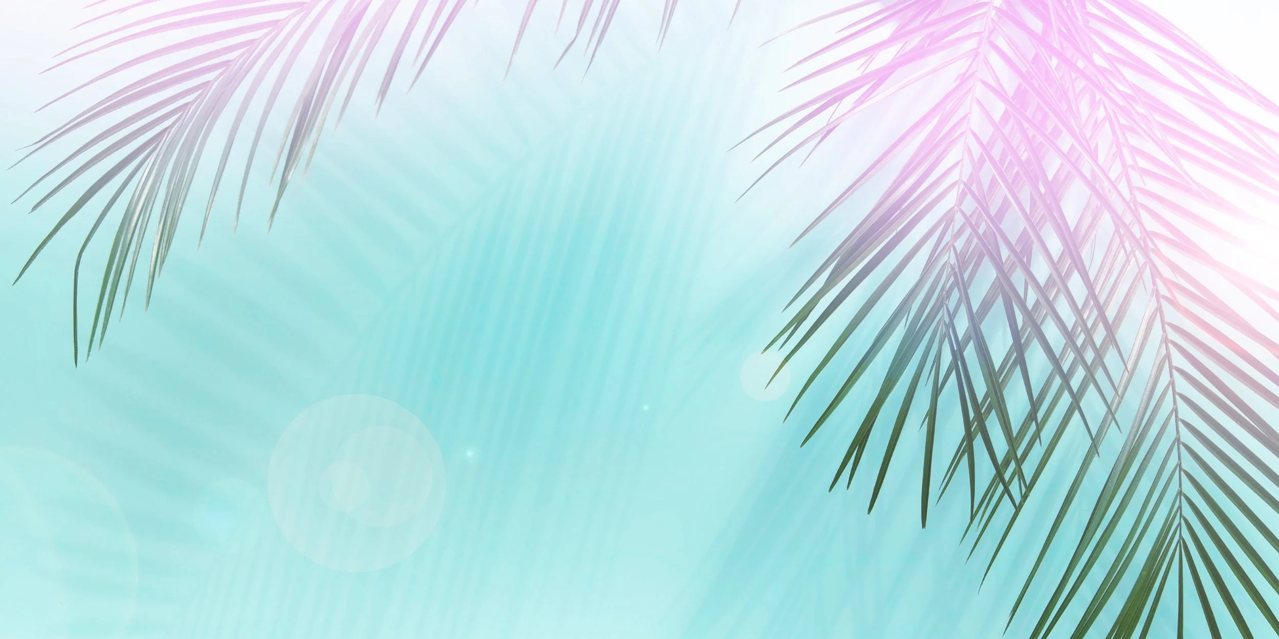 Summer @ Conservatory.jpg