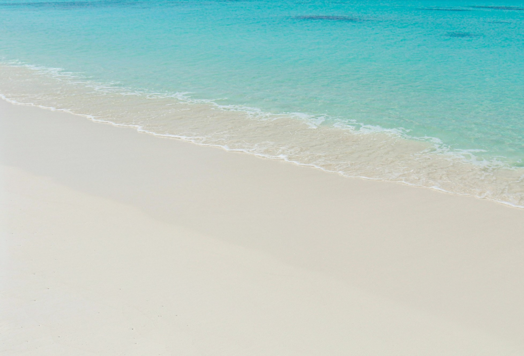 Untitled design (6).png