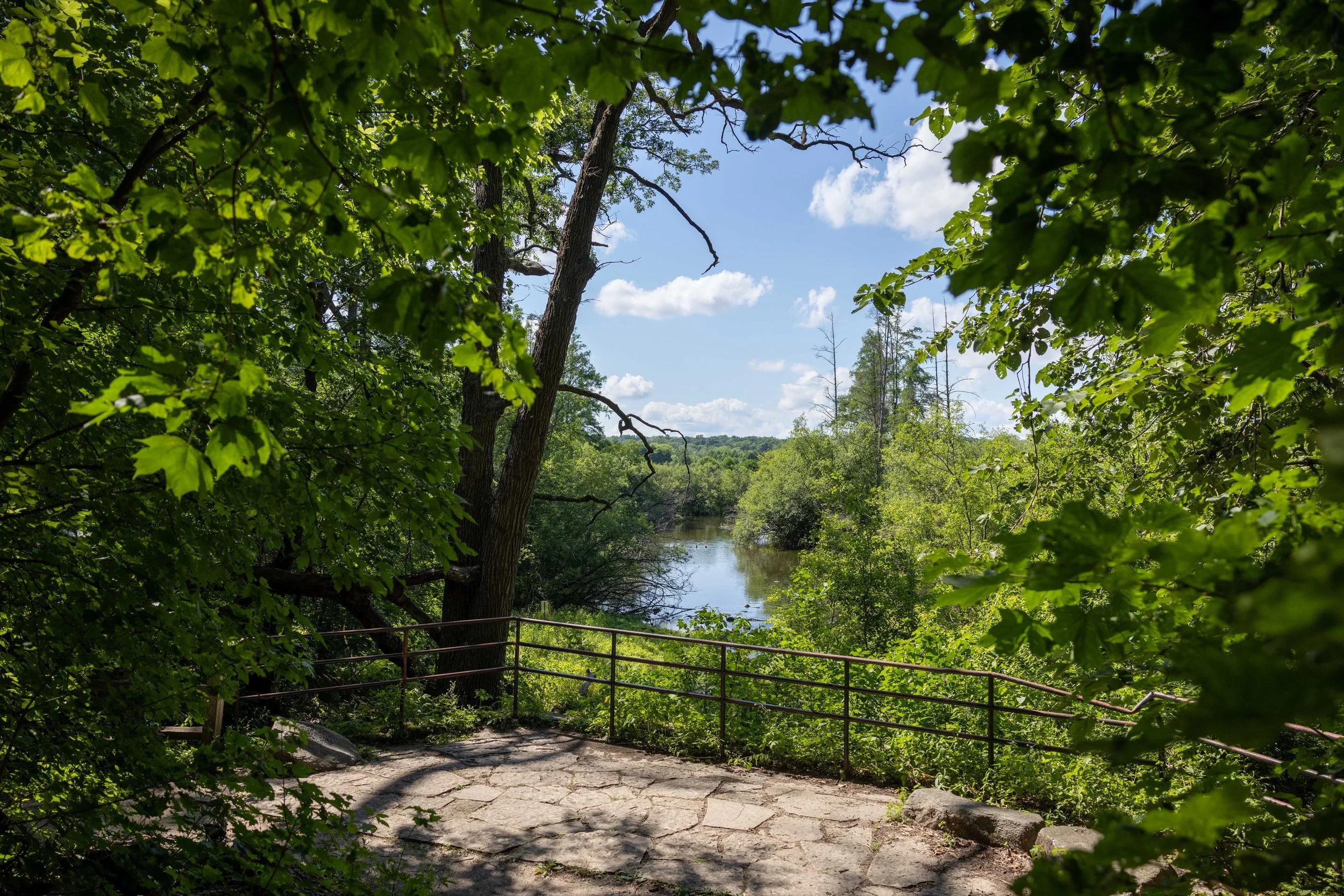 Arboretum & Lake Wingra