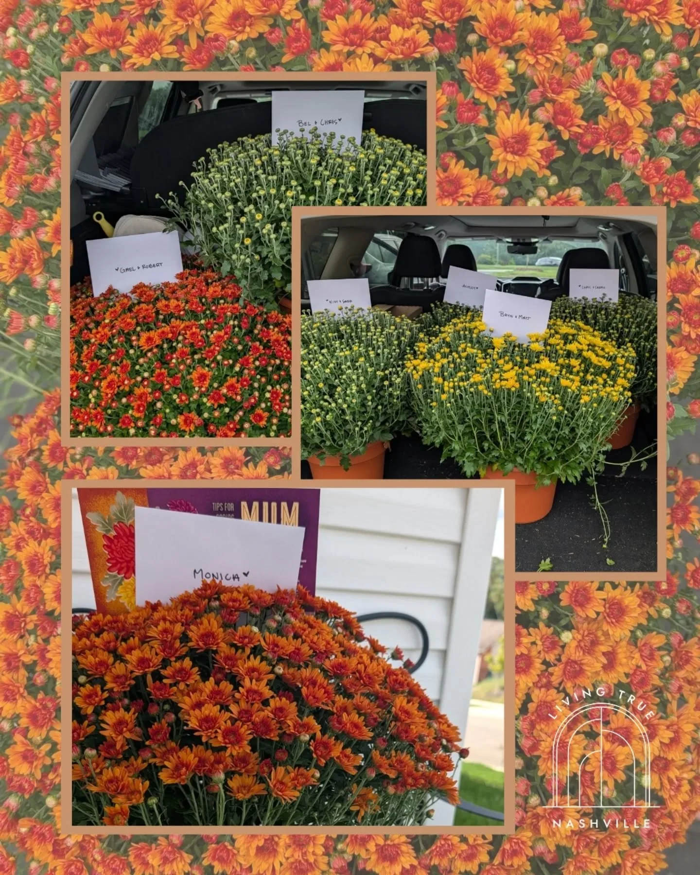 Fall is officially here! 🍂

Nothing says autumn like the vibrant colors of mums. So happy to bring these beauties to some special homes to add a little coziness!

Each fall, we pick some past clients to deliver a little gift to. Not only is it perfe