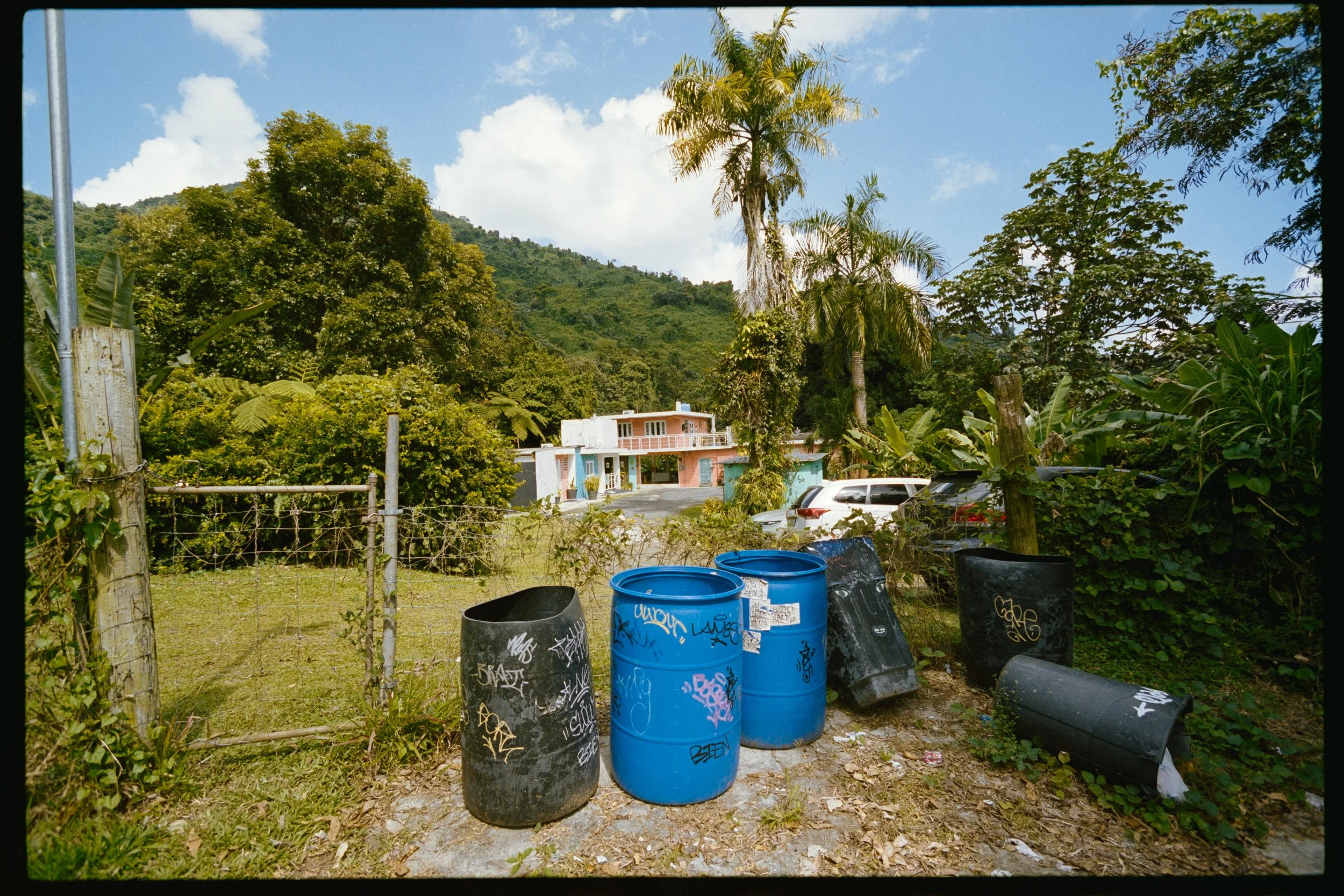 A sunny outdoor scene with several blue and black trash barrels covered in graffiti, placed on a gravel ground near green grass, with surrounding bushy plants and trees. In the background, colorful houses and a hillside with lush green trees under a 