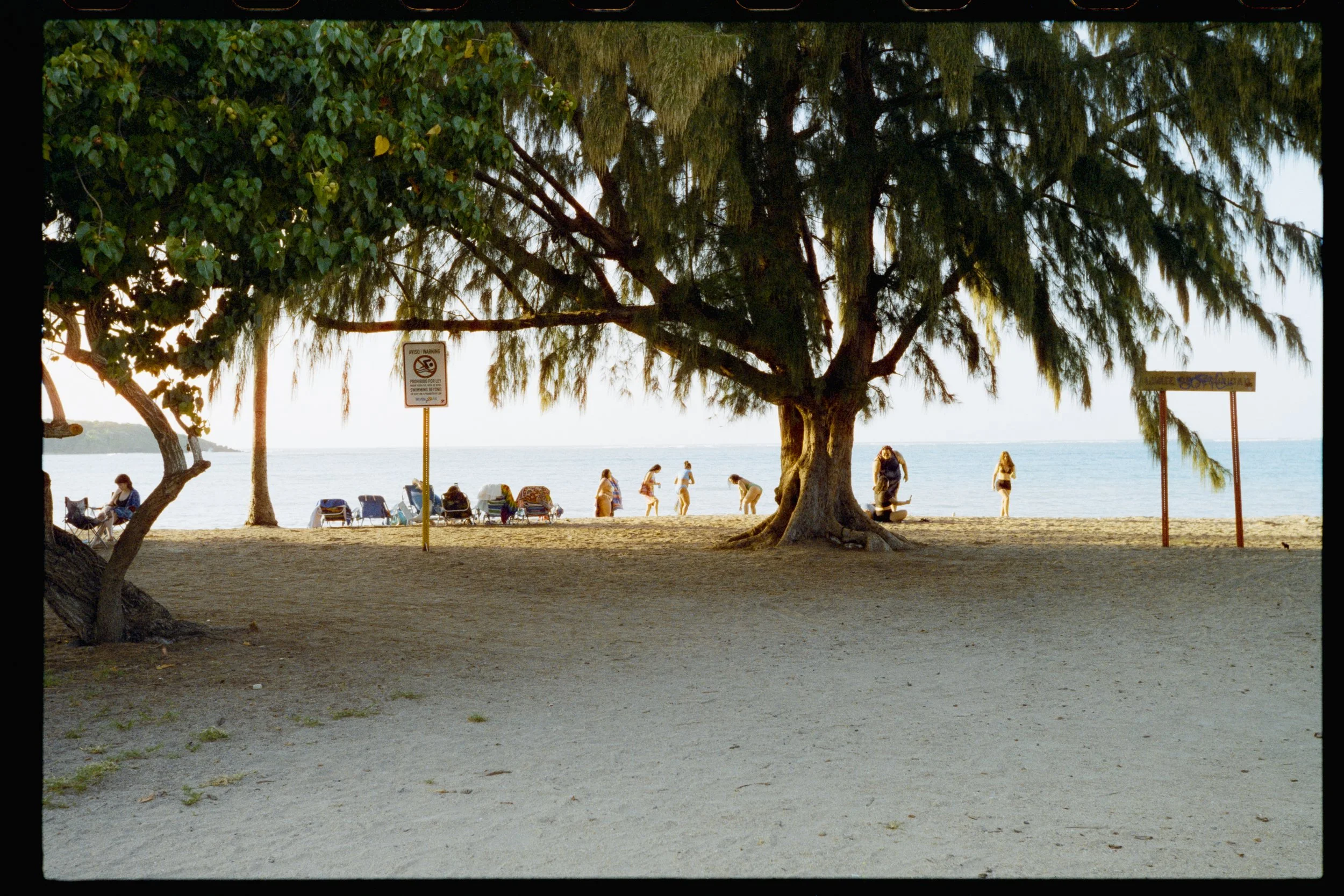 A beach scene with large trees providing shade, people sitting and walking near the water, beach chairs, and a sign warning about swimming beyond a designated area.